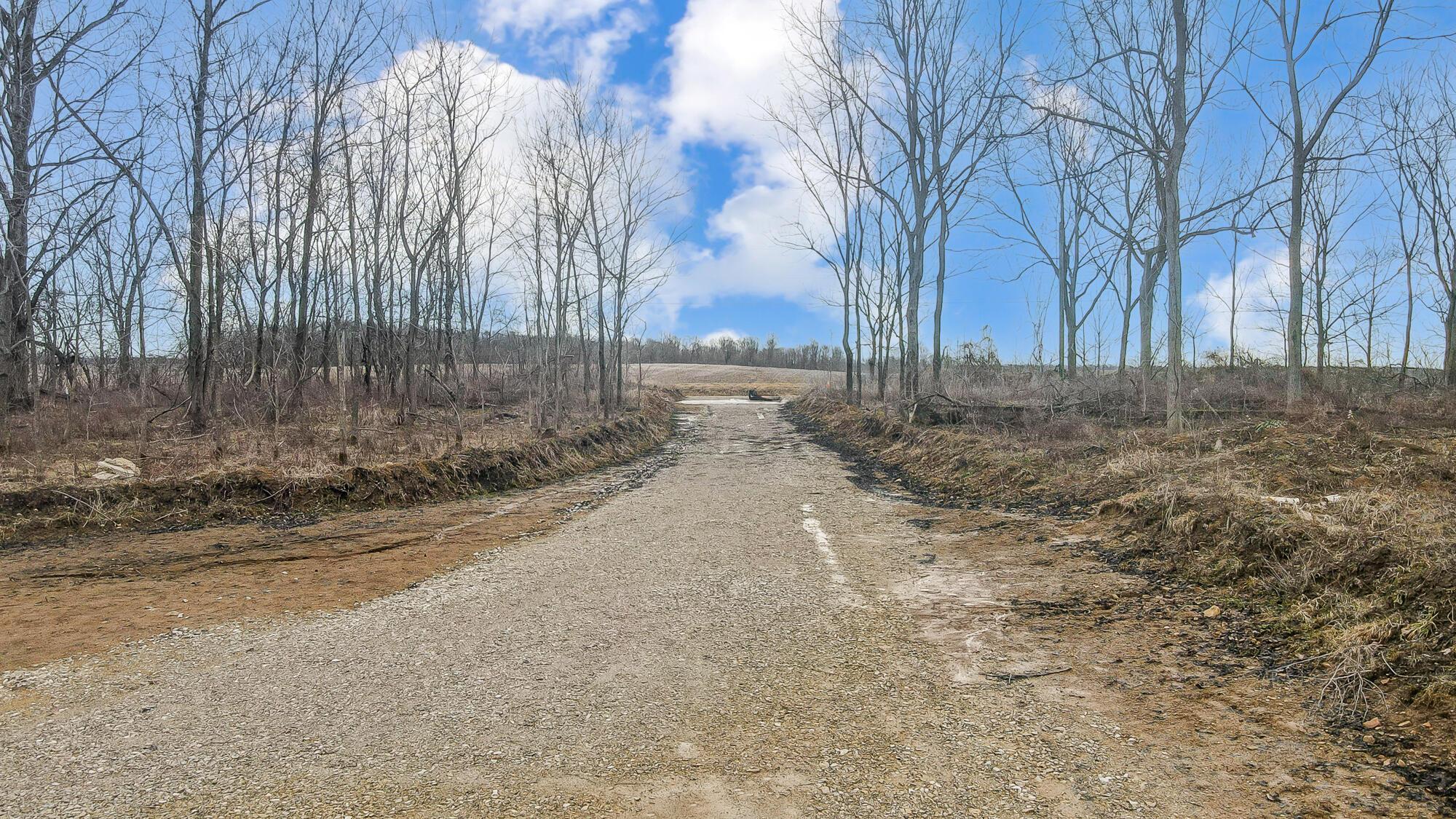 7105 Township Road 92, Mount Gilead, Ohio image 3