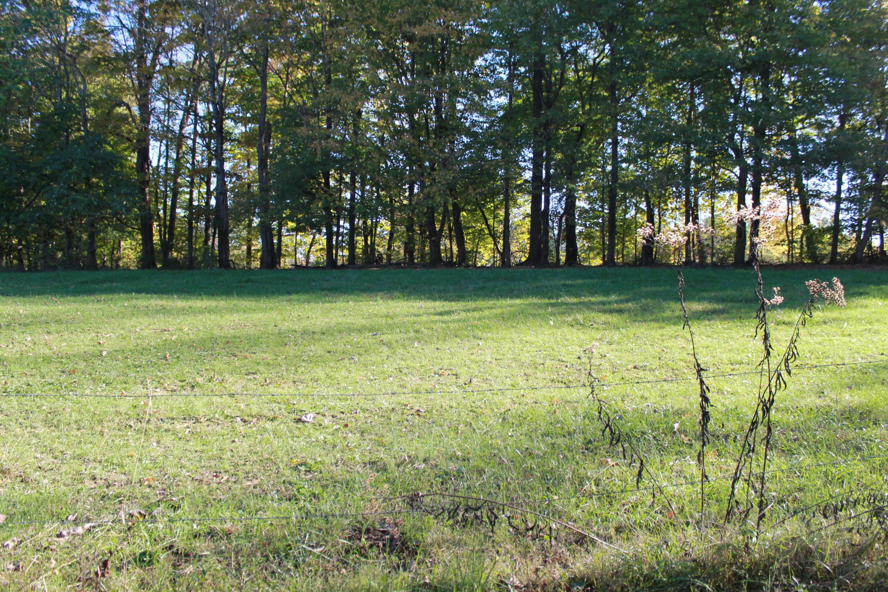 10705 Township Road 92, Somerset, Ohio image 5