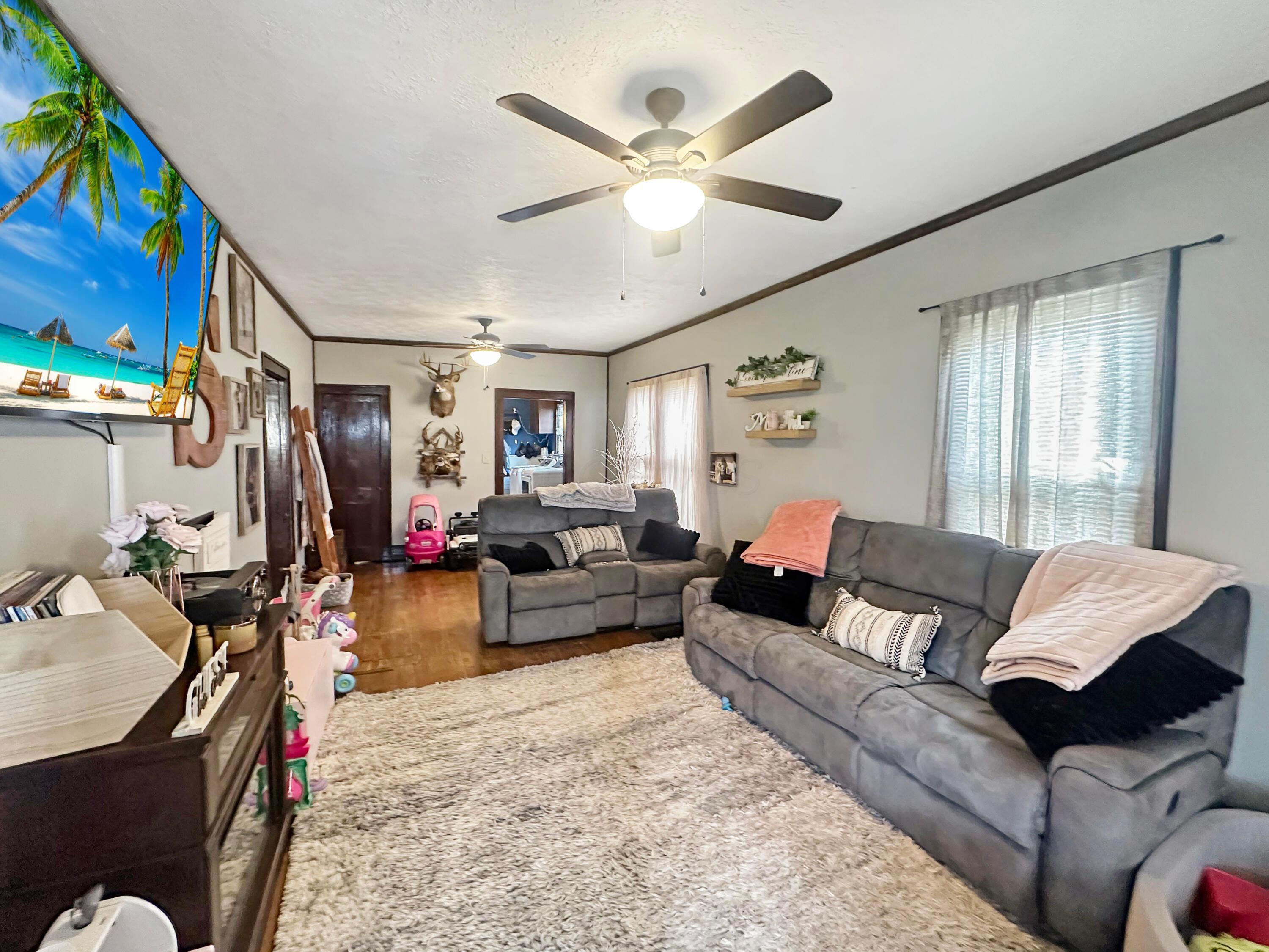 113 Chestnut Street, Corning, Ohio image 3