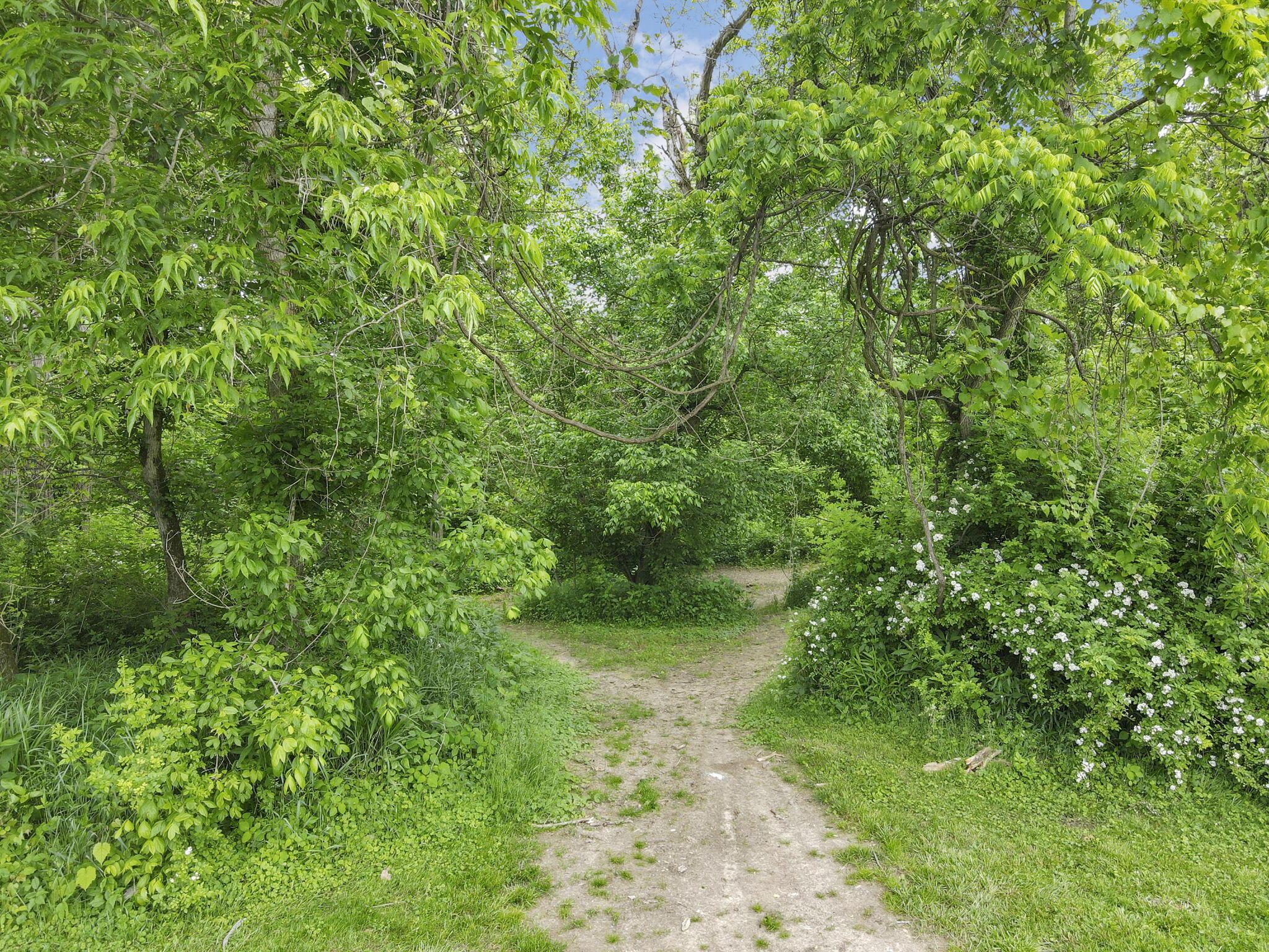 14609 Hock Hocking Road, Logan, Ohio image 17