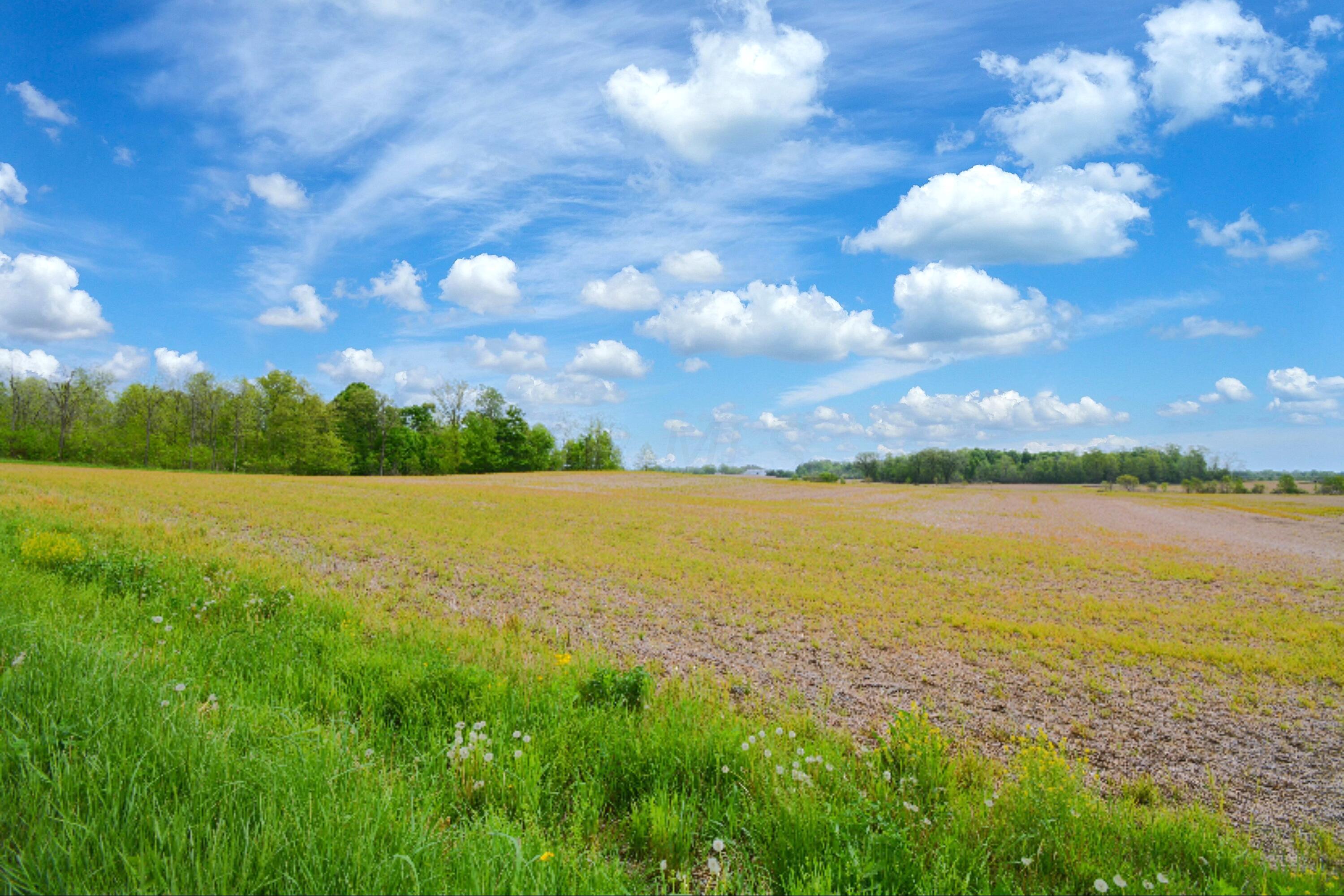 0001 County Road 186, Cardington, Ohio image 2