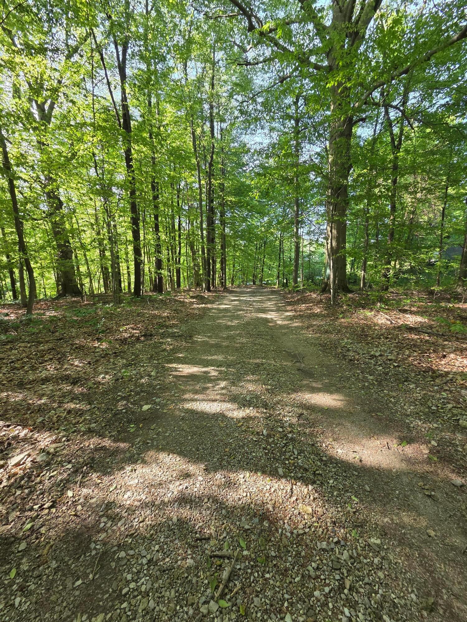 3873 Us-42, Mansfield, Ohio image 47