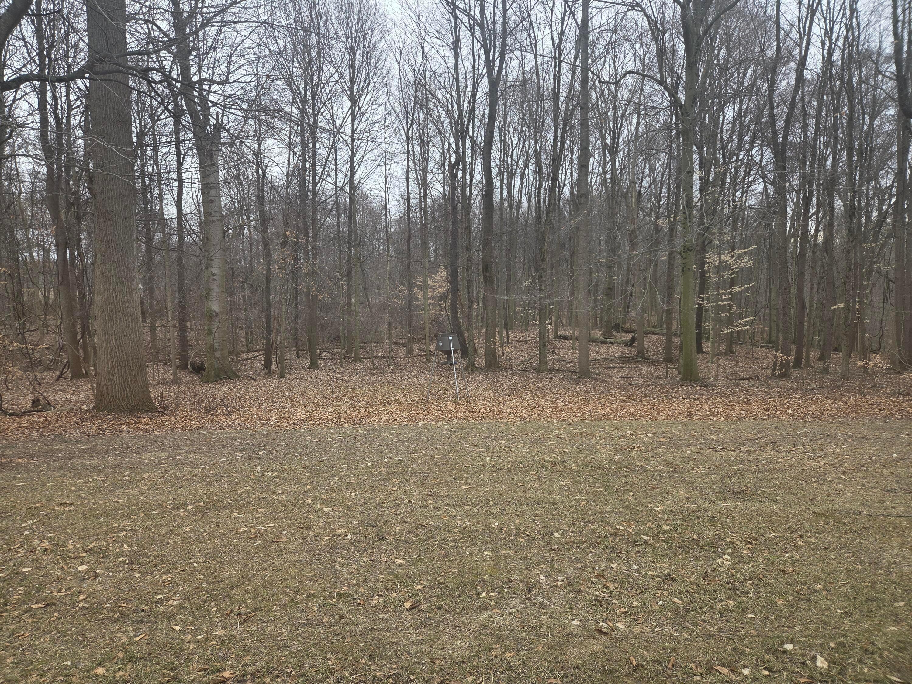 3873 Us-42, Mansfield, Ohio image 40
