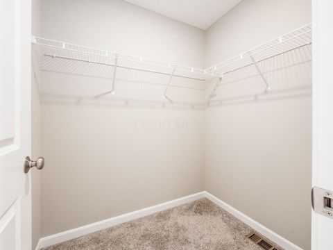 Tiny photo for 8579 Tupelo Way, Plain City, OH 43064 (MLS # 225037752)