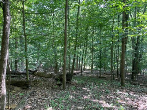 Photo of 0 Bearclaw Court SE, Sugar Grove, OH 43155 (MLS # 226007211)