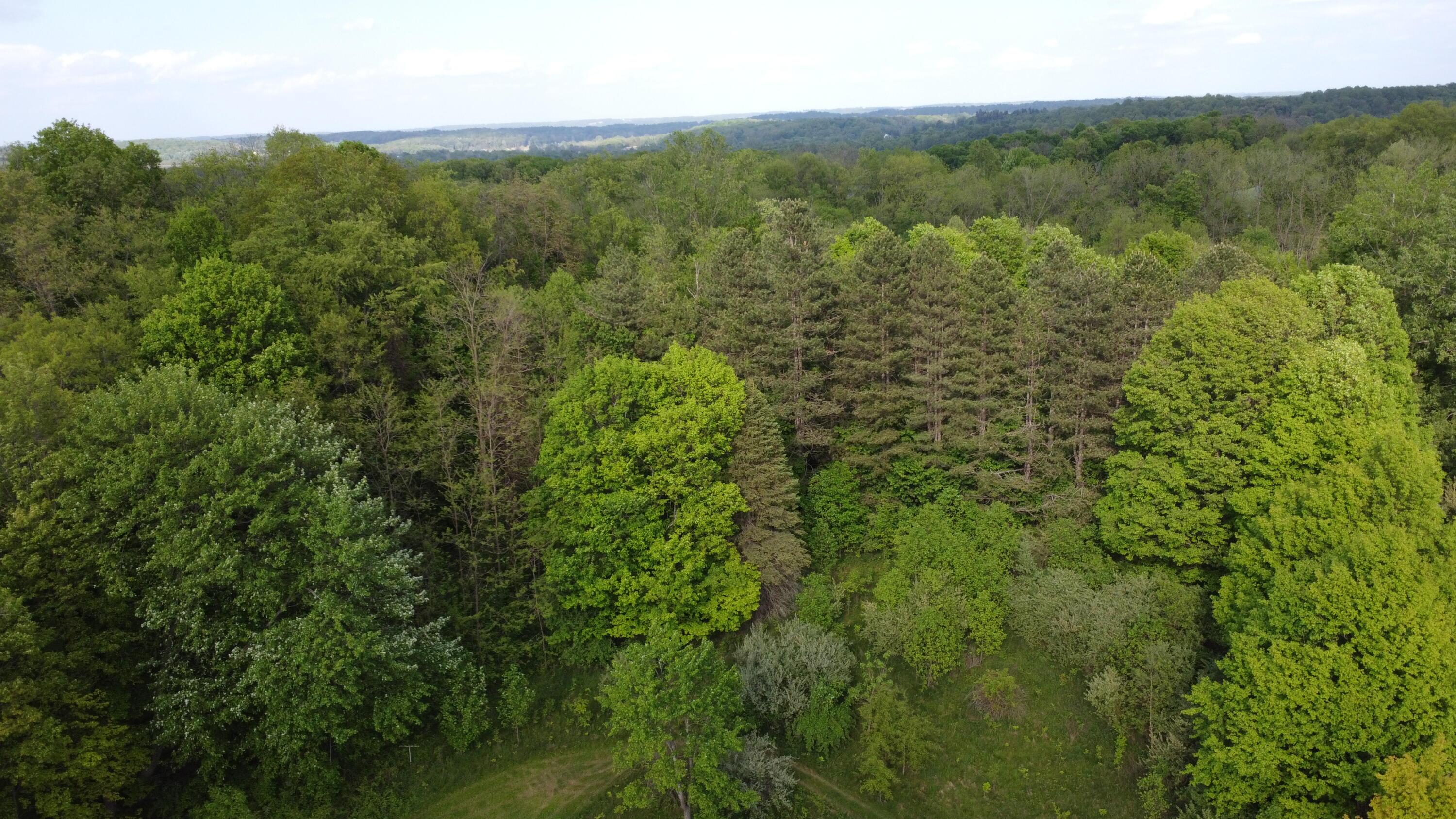 1485 Willow Park Drive, Mansfield, Ohio image 24