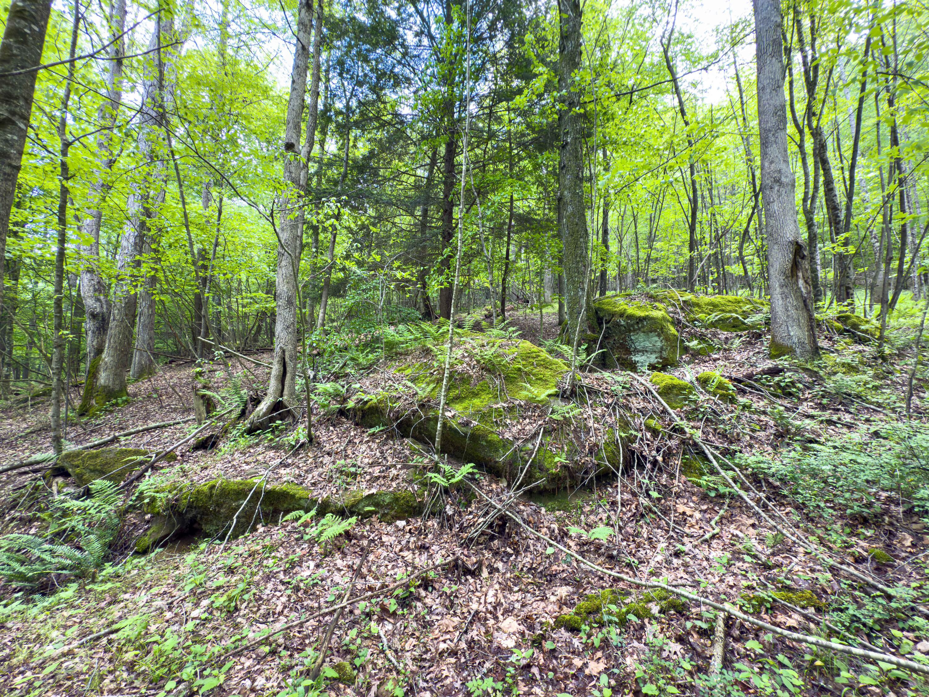Oh-374, Rockbridge, Ohio image 48