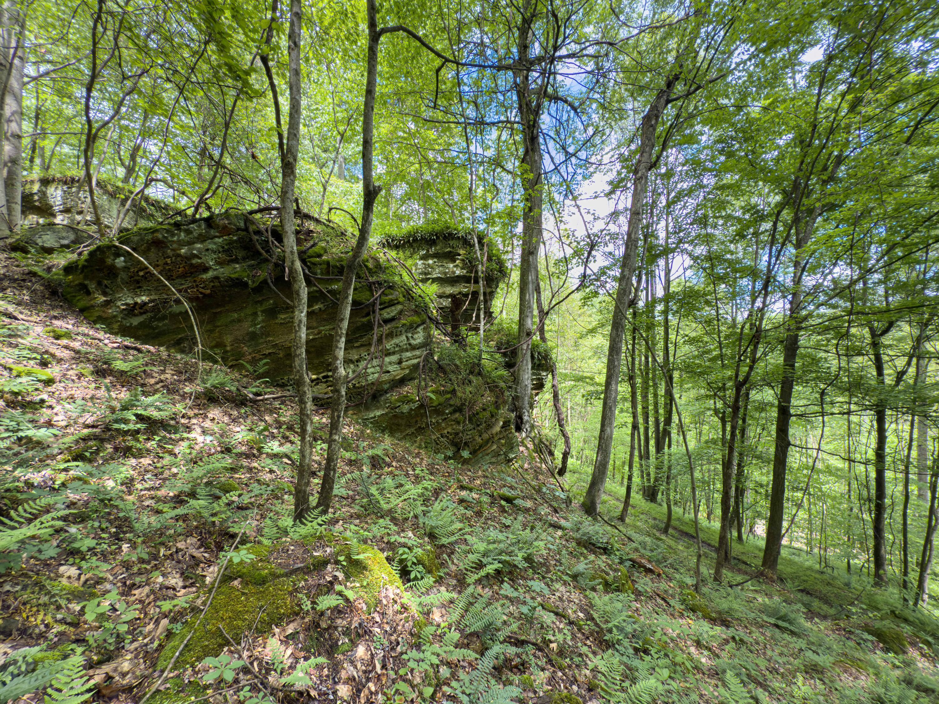 Oh-374, Rockbridge, Ohio image 40