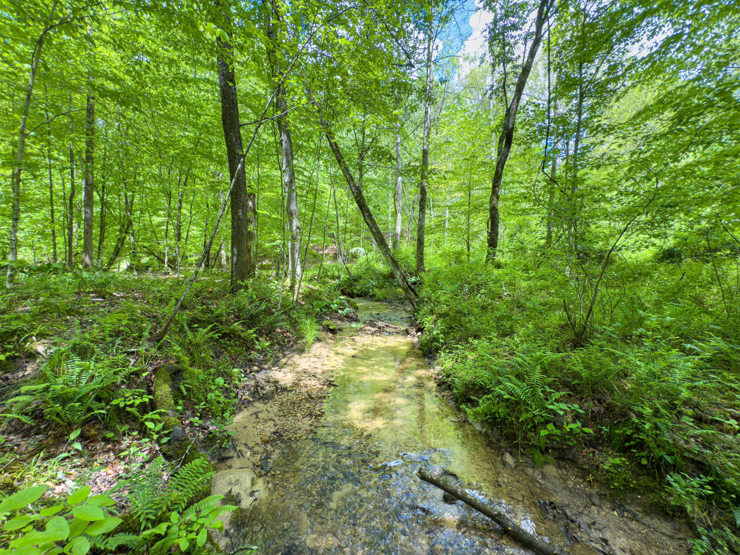 Oh-374, Rockbridge, Ohio image 49