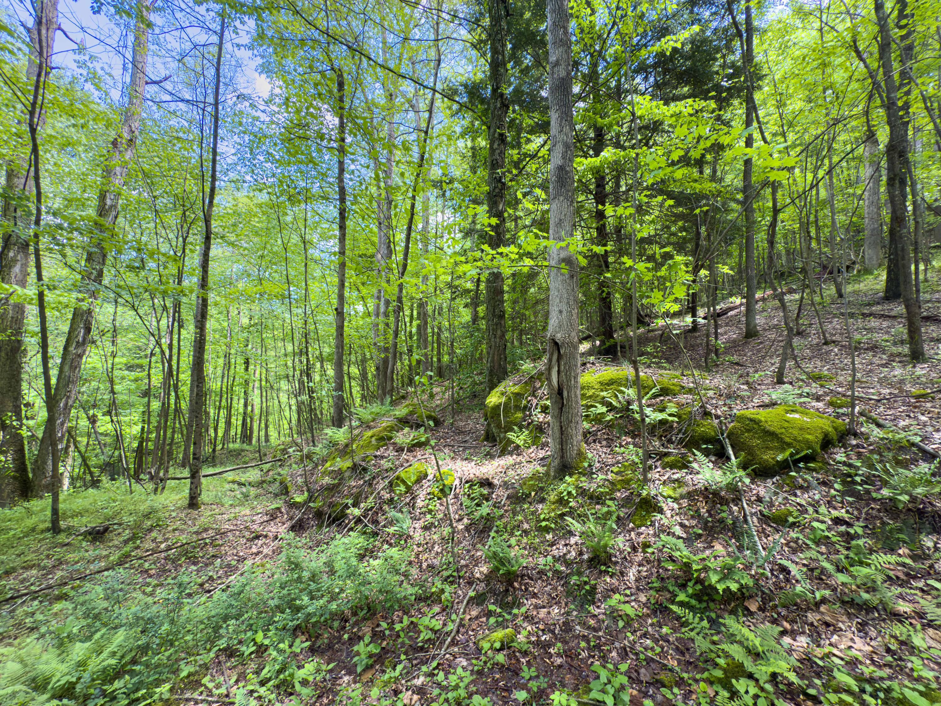 Oh-374, Rockbridge, Ohio image 47