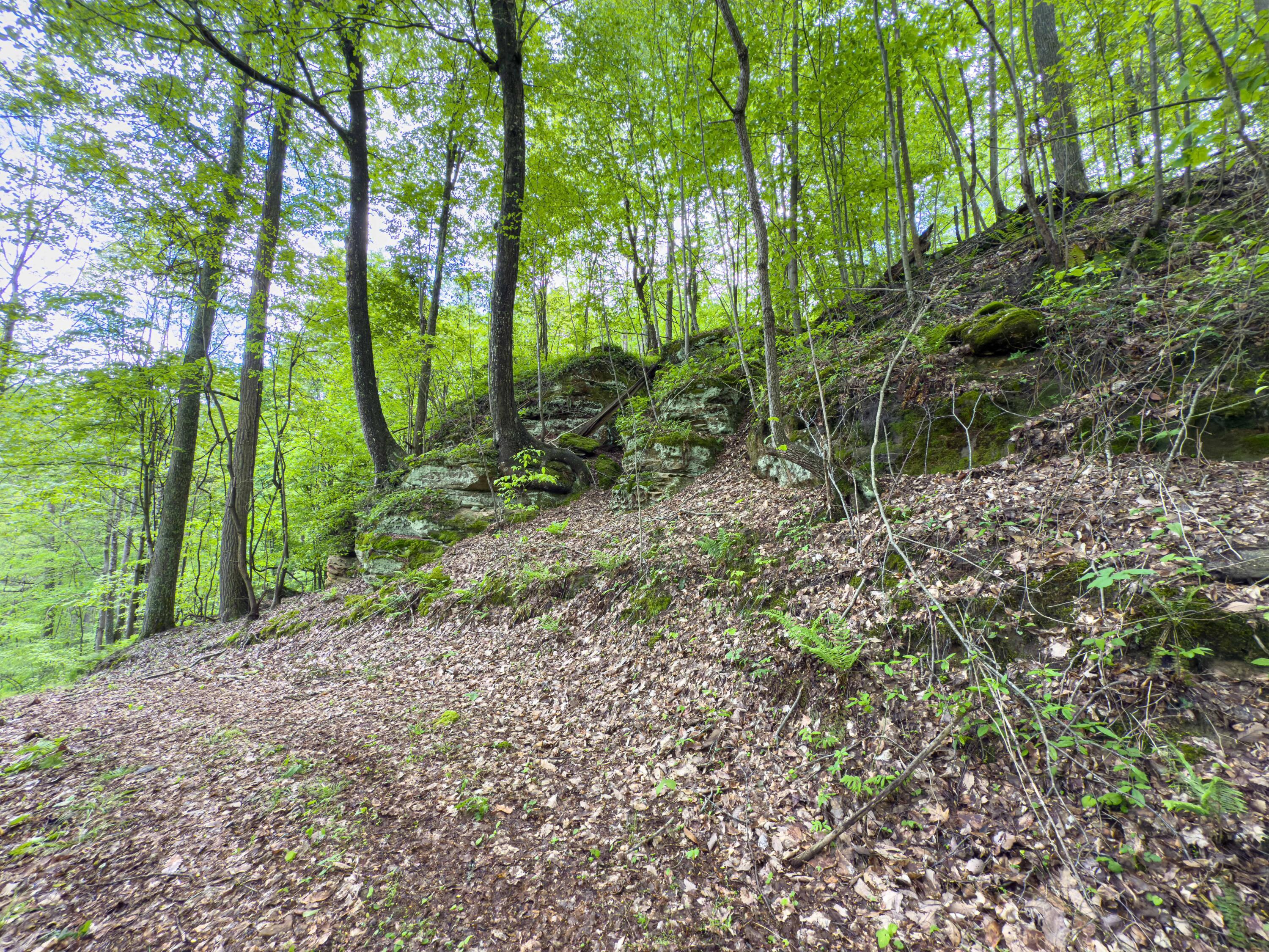 Oh-374, Rockbridge, Ohio image 41