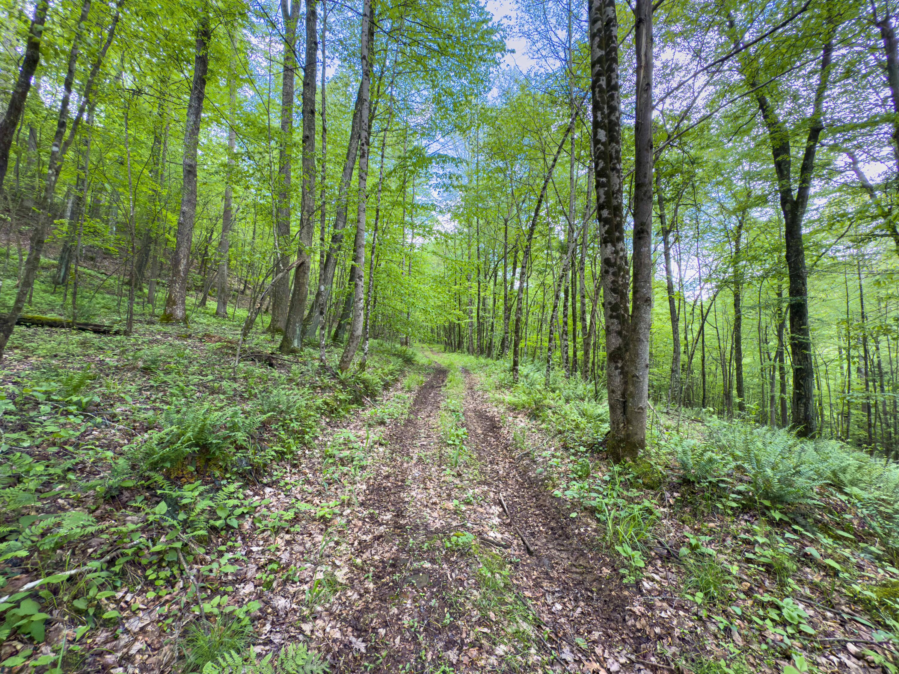 Oh-374, Rockbridge, Ohio image 31