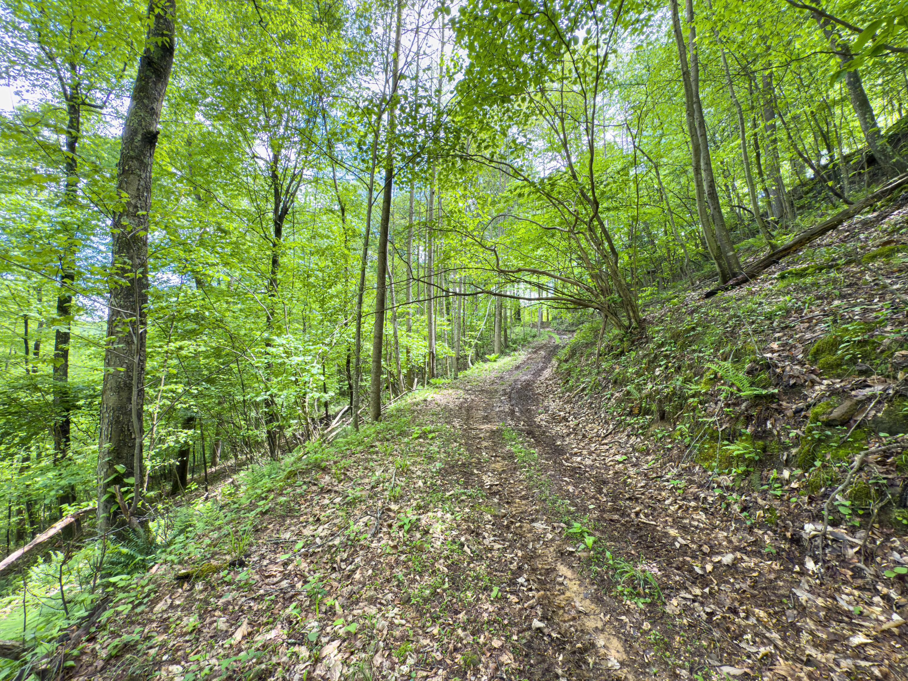 Oh-374, Rockbridge, Ohio image 34