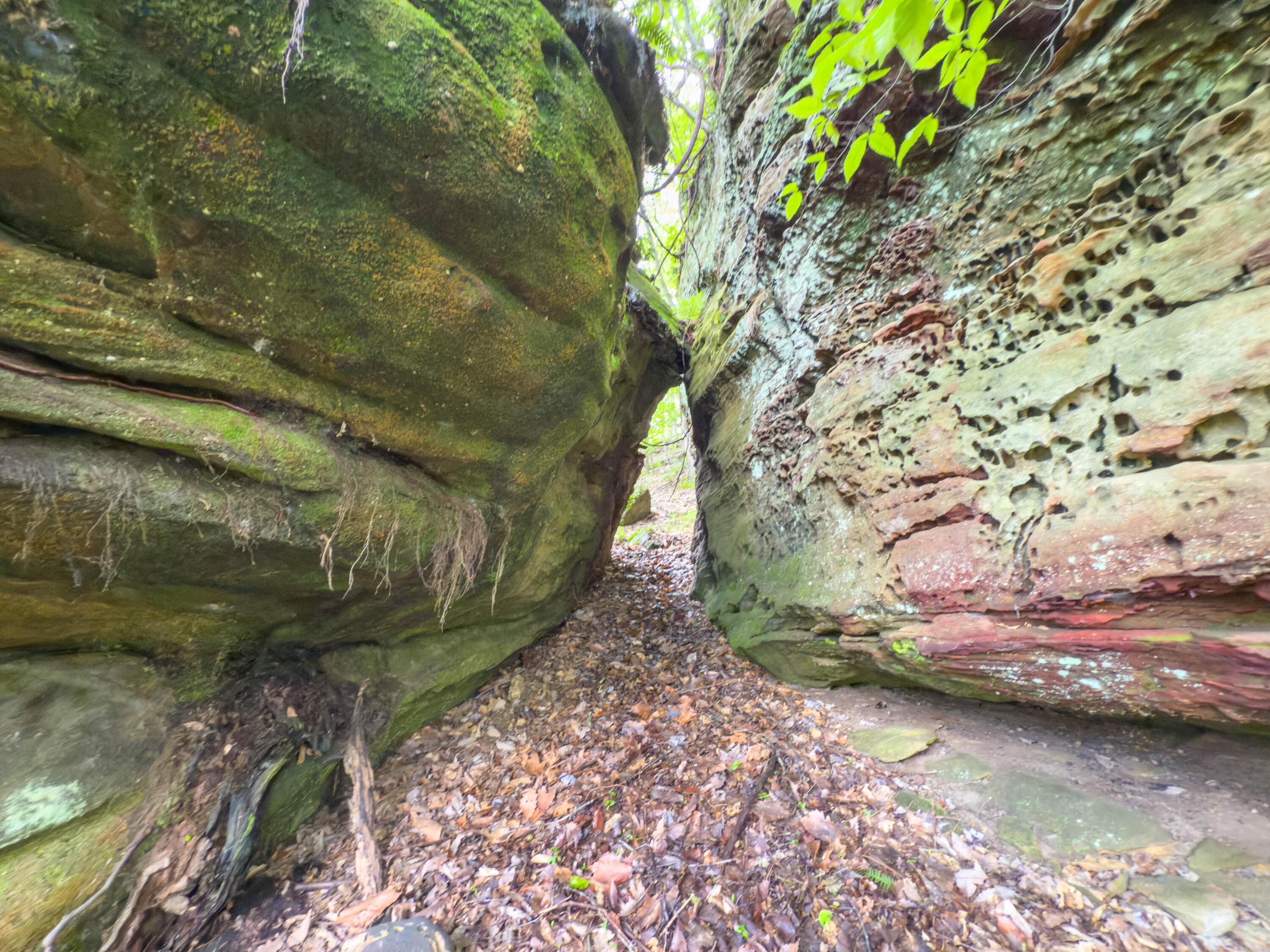 Oh-374, Rockbridge, Ohio image 36