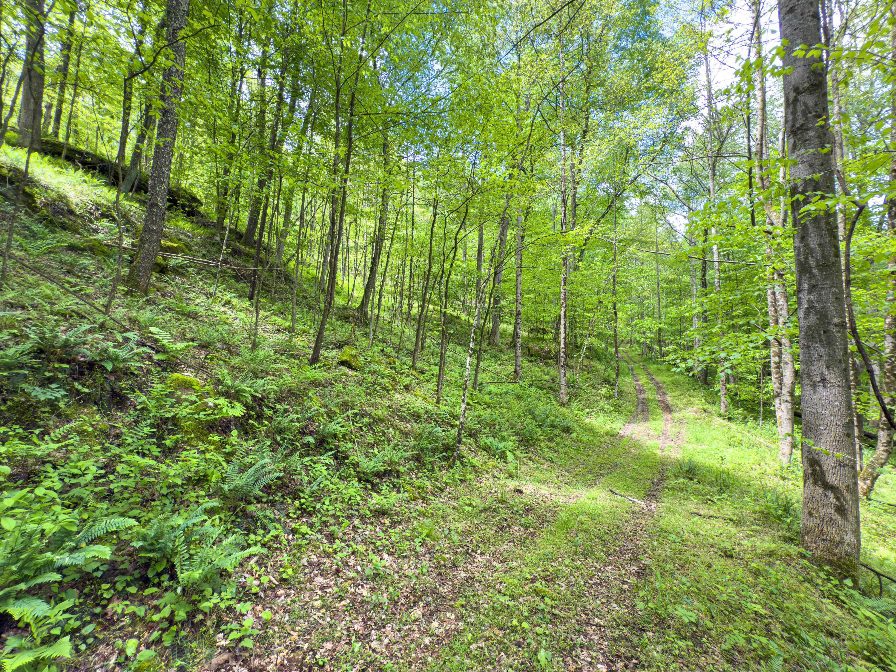 Oh-374, Rockbridge, Ohio image 32