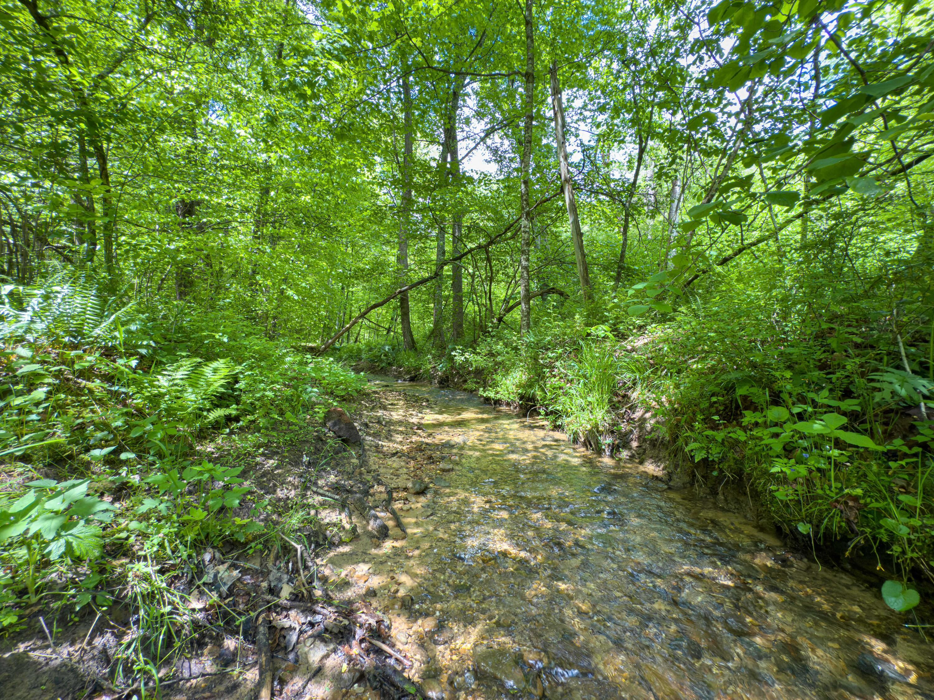 Oh-374, Rockbridge, Ohio image 7