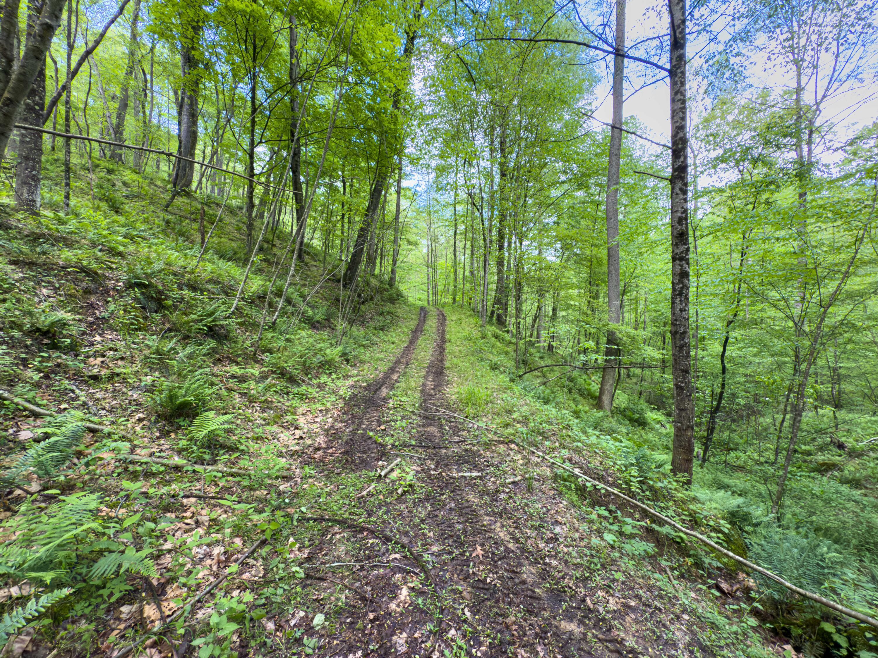 Oh-374, Rockbridge, Ohio image 33