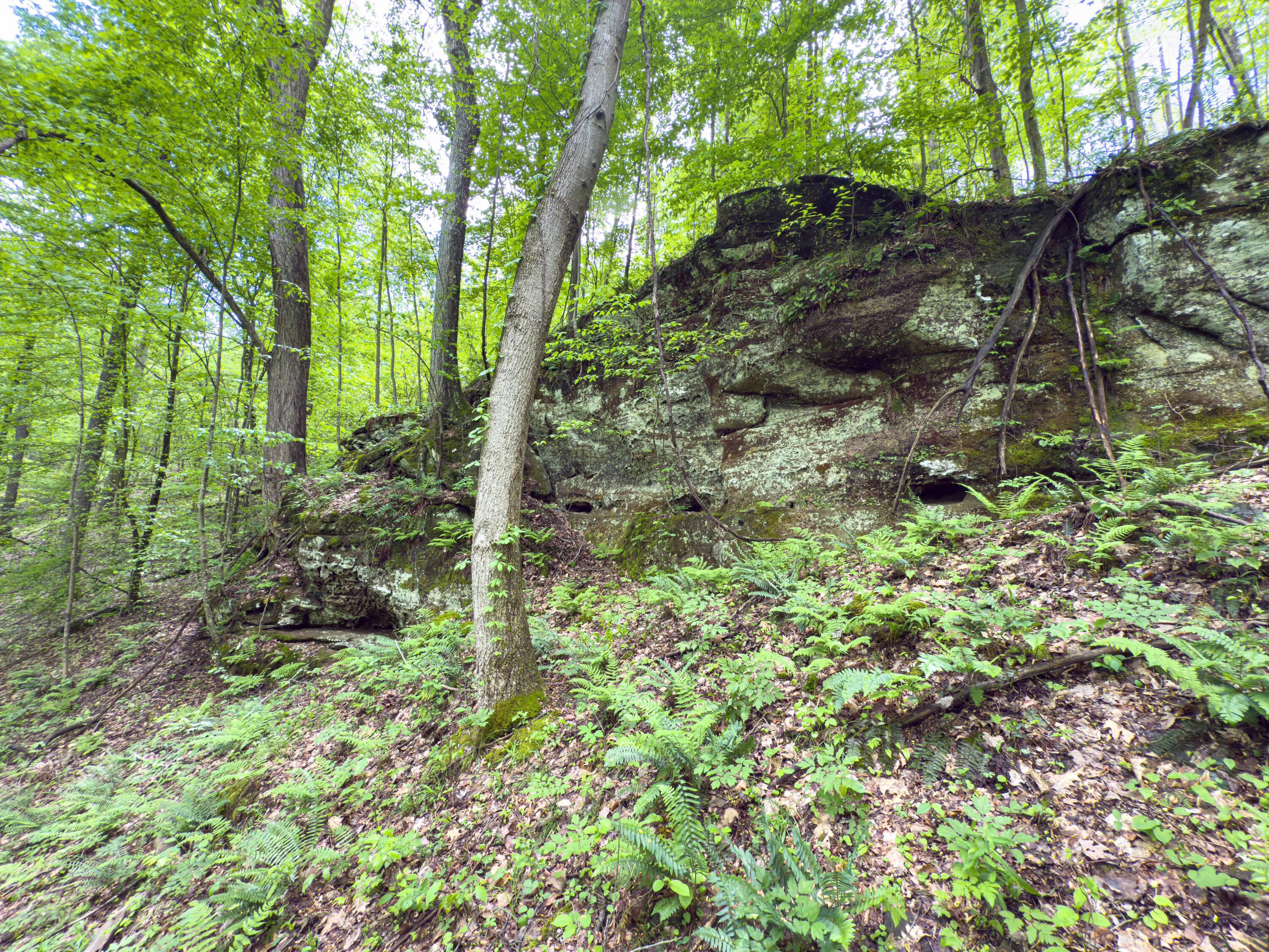 Oh-374, Rockbridge, Ohio image 44