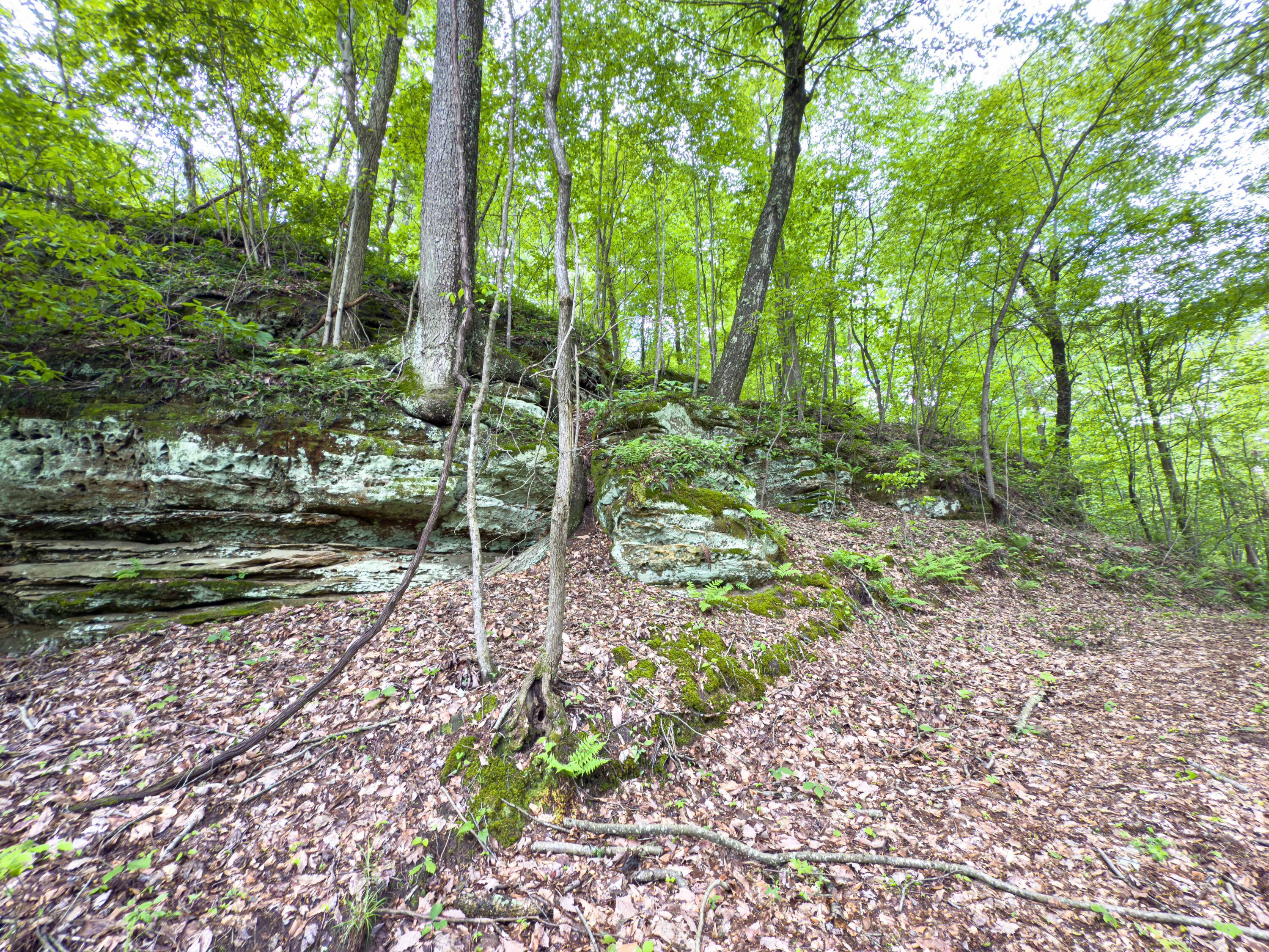 Oh-374, Rockbridge, Ohio image 43