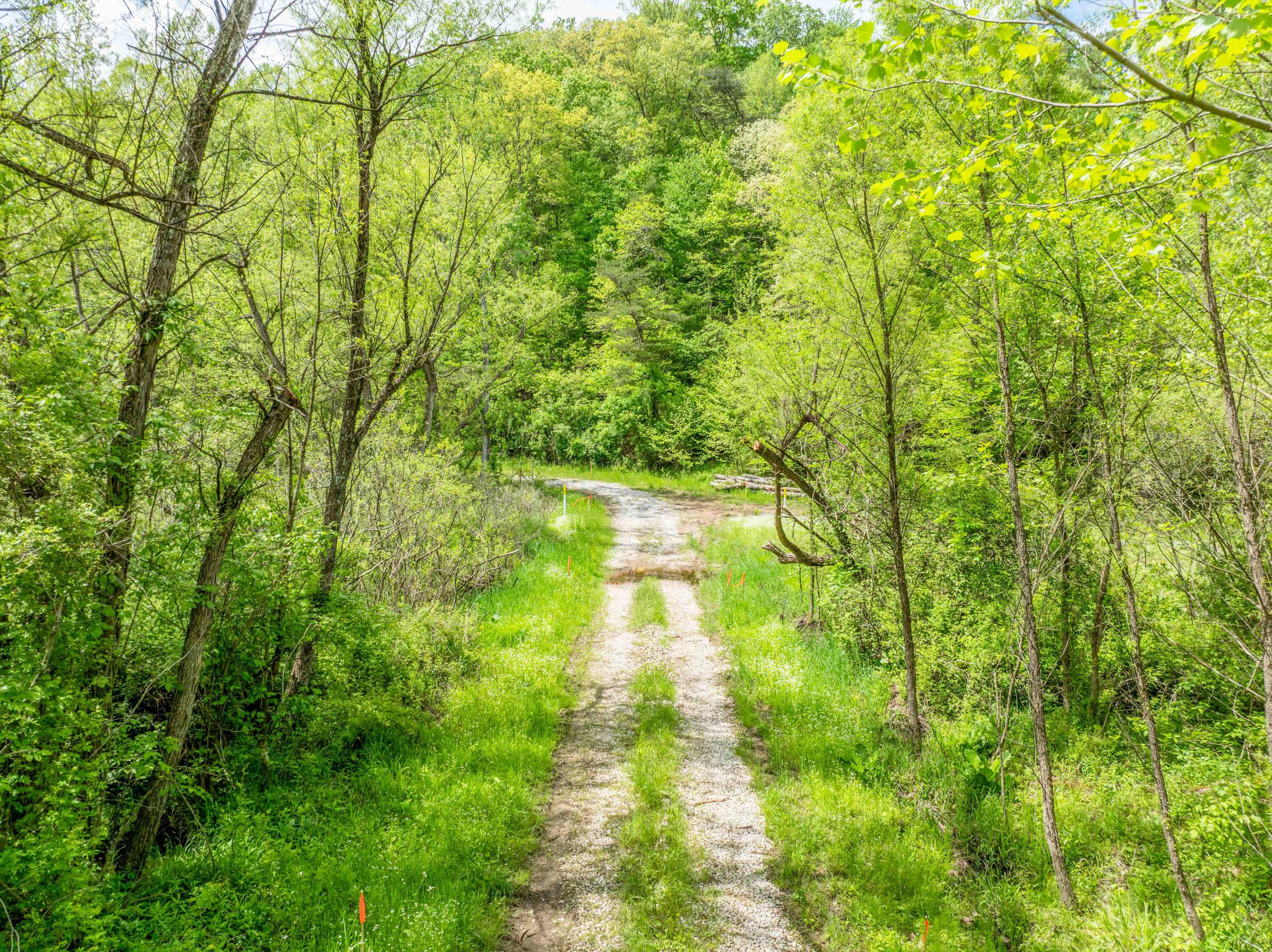Oh-374, Rockbridge, Ohio image 10