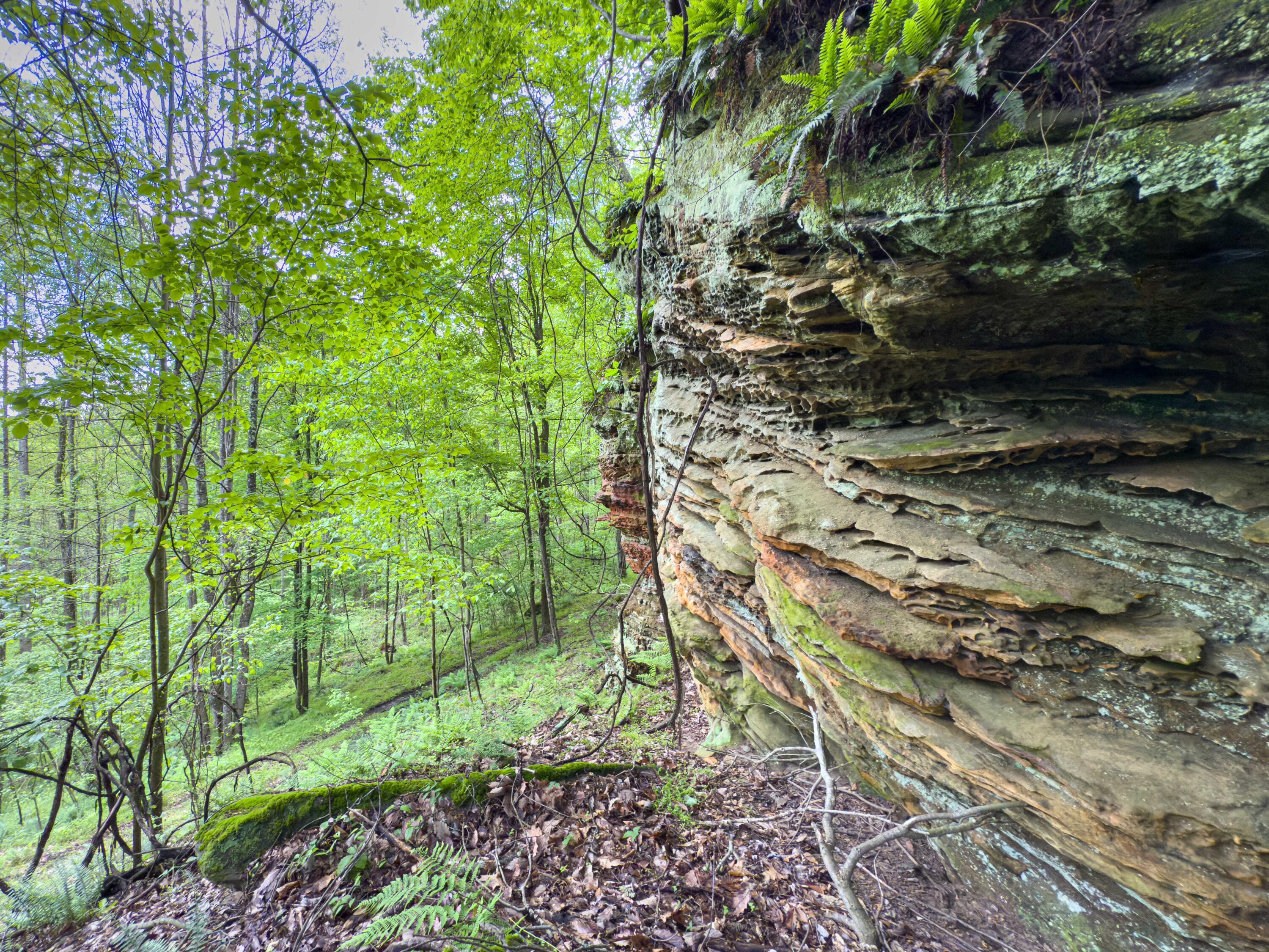 Oh-374, Rockbridge, Ohio image 38