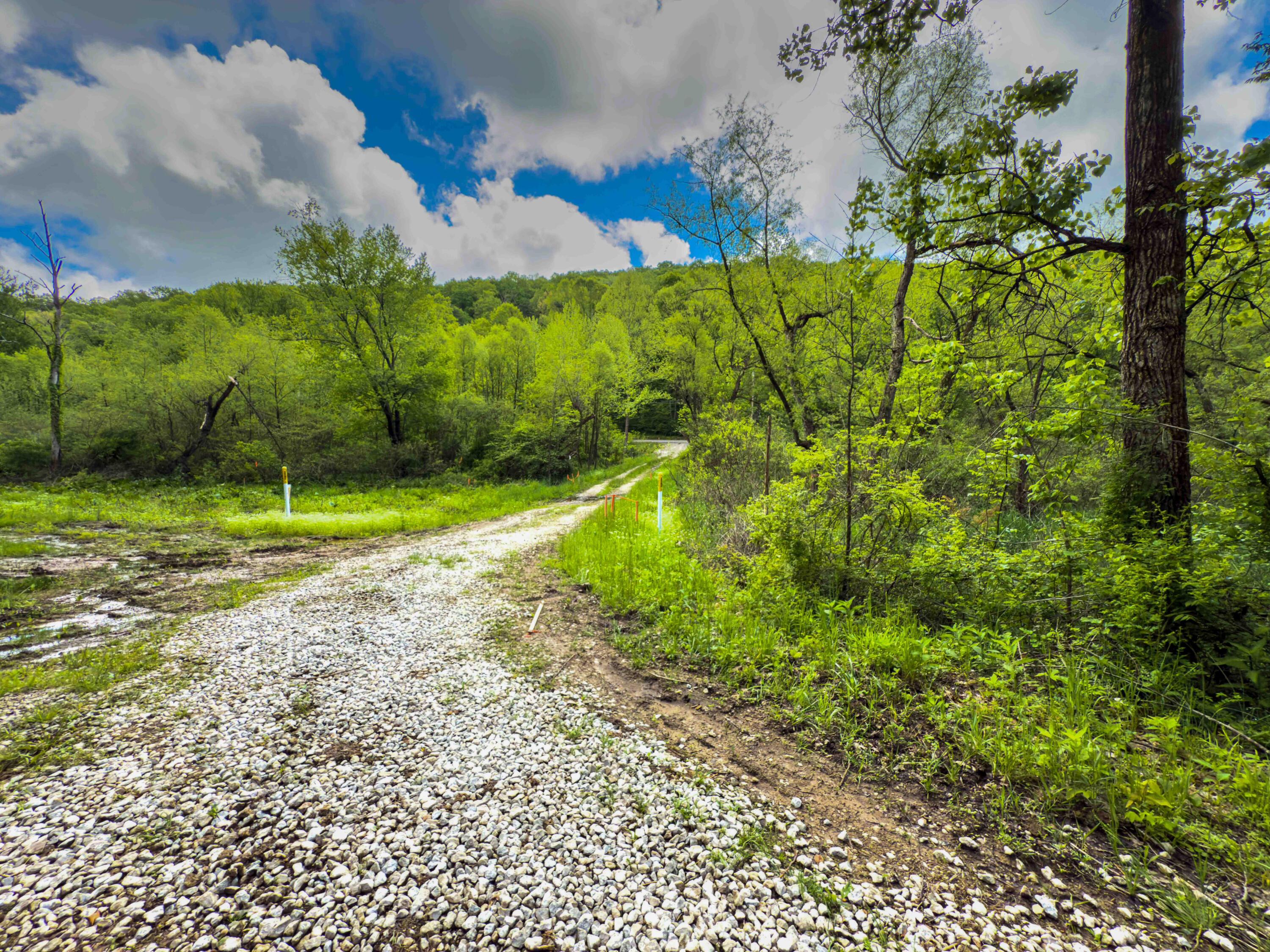 Oh-374, Rockbridge, Ohio image 12