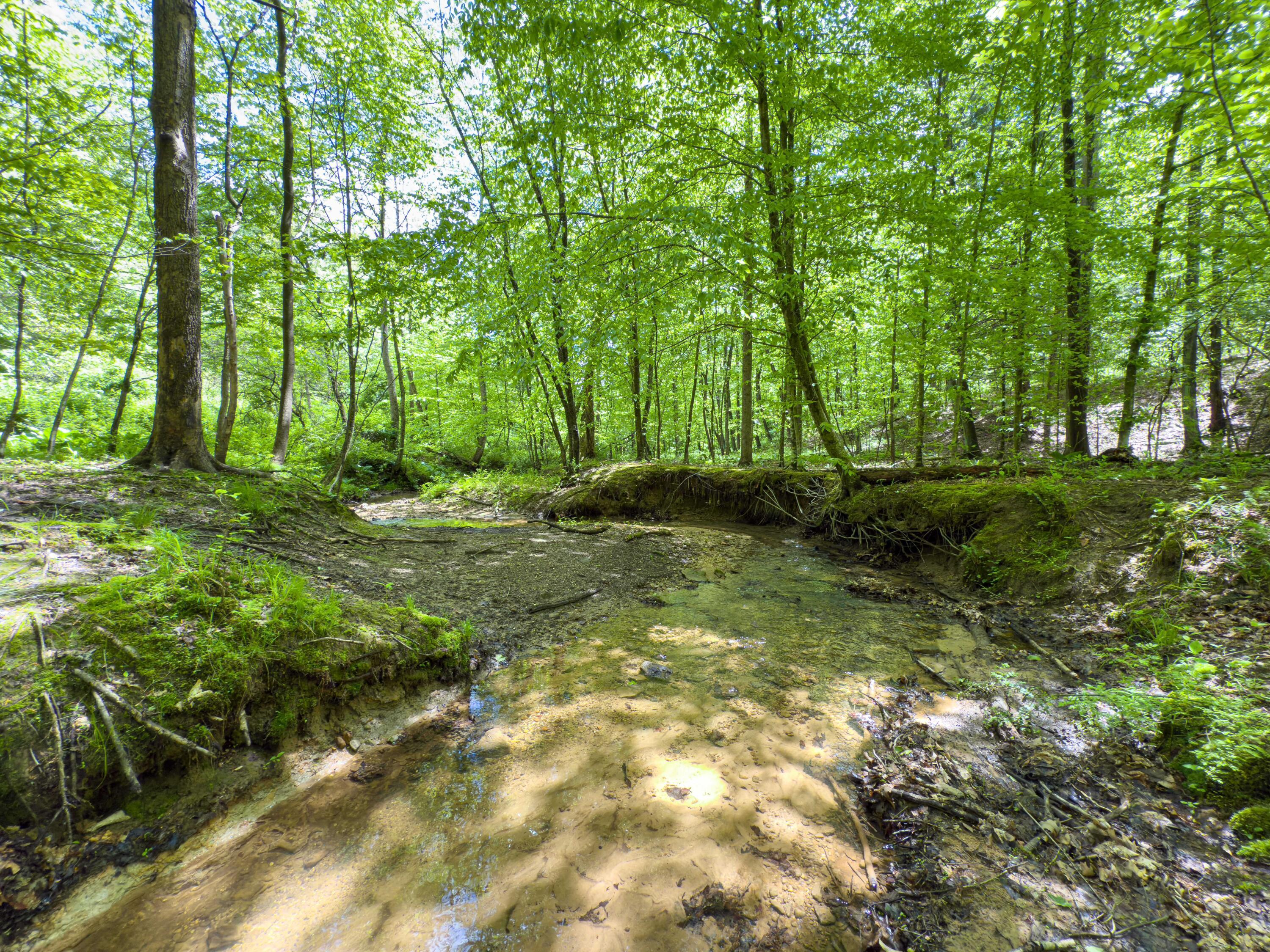 Oh-374, Rockbridge, Ohio image 50