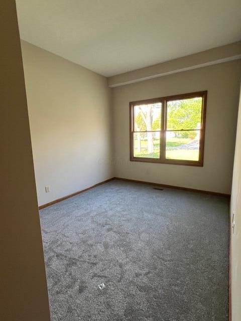 205 Oakview Court, Pickerington, Ohio image 20