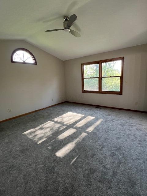 205 Oakview Court, Pickerington, Ohio image 21