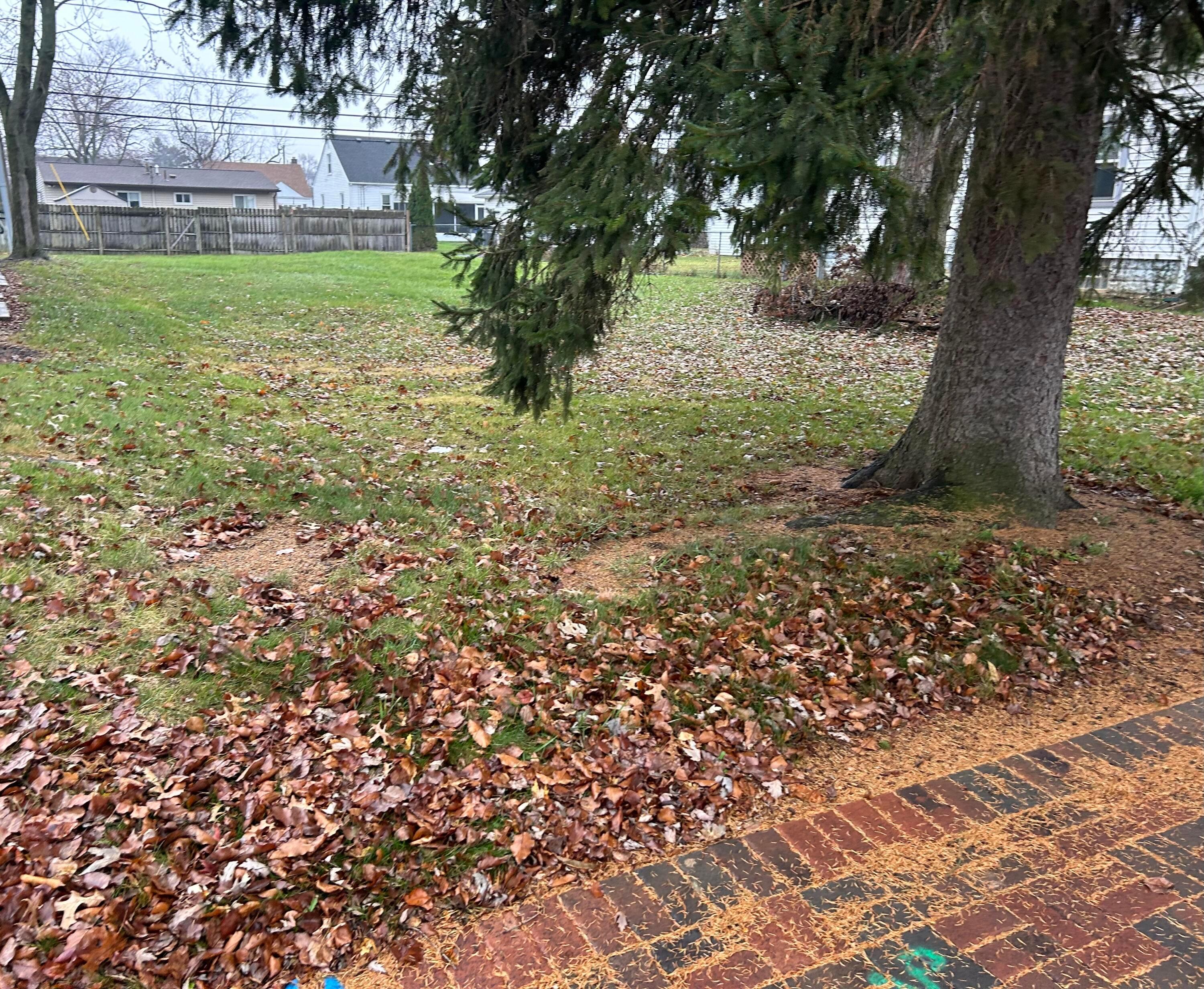 Yearling Road, Whitehall, Ohio image 4