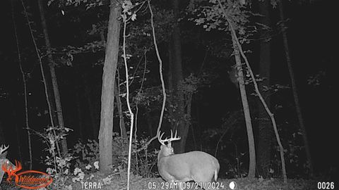 Tiny photo for 2956 Egypt Pike, Chillicothe, OH 45601 (MLS # 225043733)