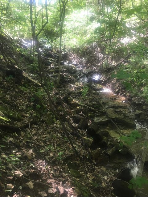 Tiny photo for 2956 Egypt Pike, Chillicothe, OH 45601 (MLS # 225043733)