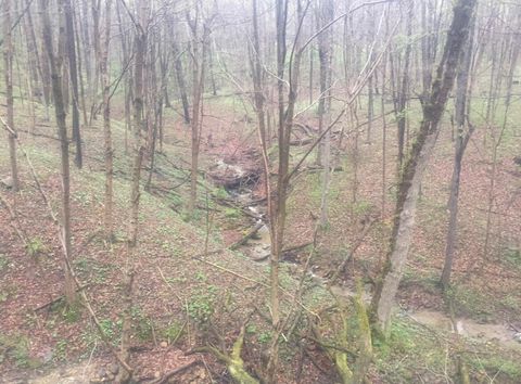 Tiny photo for 2956 Egypt Pike, Chillicothe, OH 45601 (MLS # 225043733)