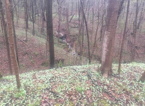 Tiny photo for 2956 Egypt Pike, Chillicothe, OH 45601 (MLS # 225043733)