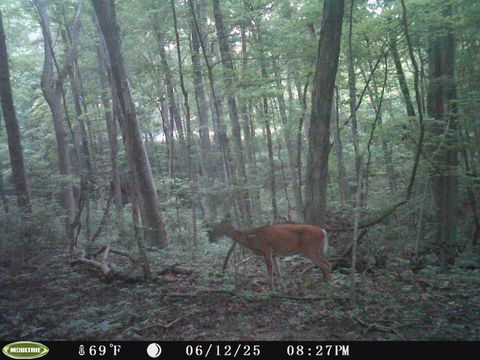 Tiny photo for 2956 Egypt Pike, Chillicothe, OH 45601 (MLS # 225043733)