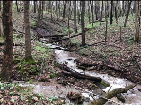 Tiny photo for 2956 Egypt Pike, Chillicothe, OH 45601 (MLS # 225043733)