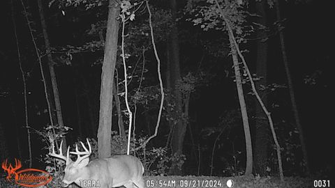 Tiny photo for 2956 Egypt Pike, Chillicothe, OH 45601 (MLS # 225043733)