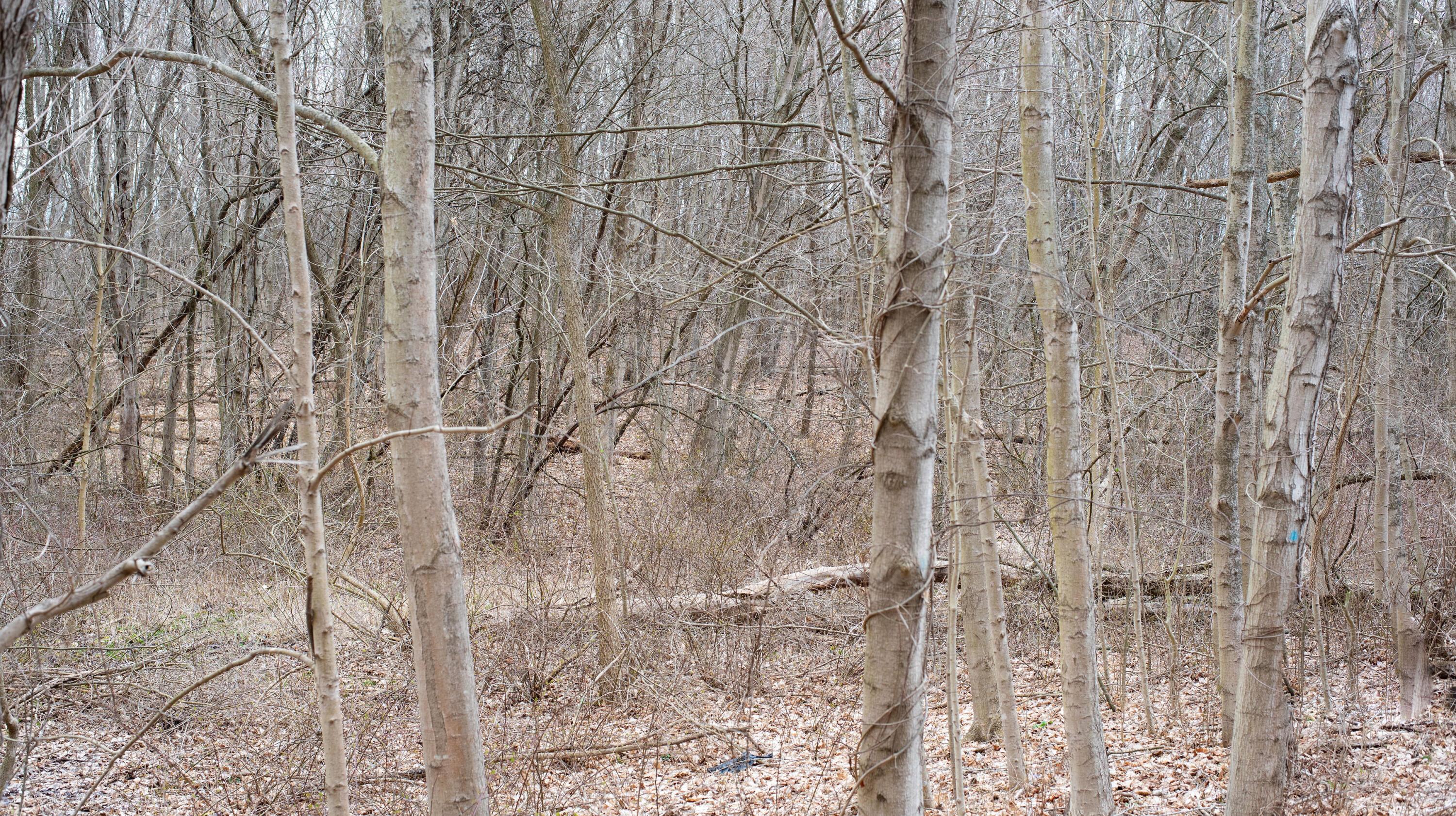 County Rd 183 (tract D), Fredericktown, Ohio image 14