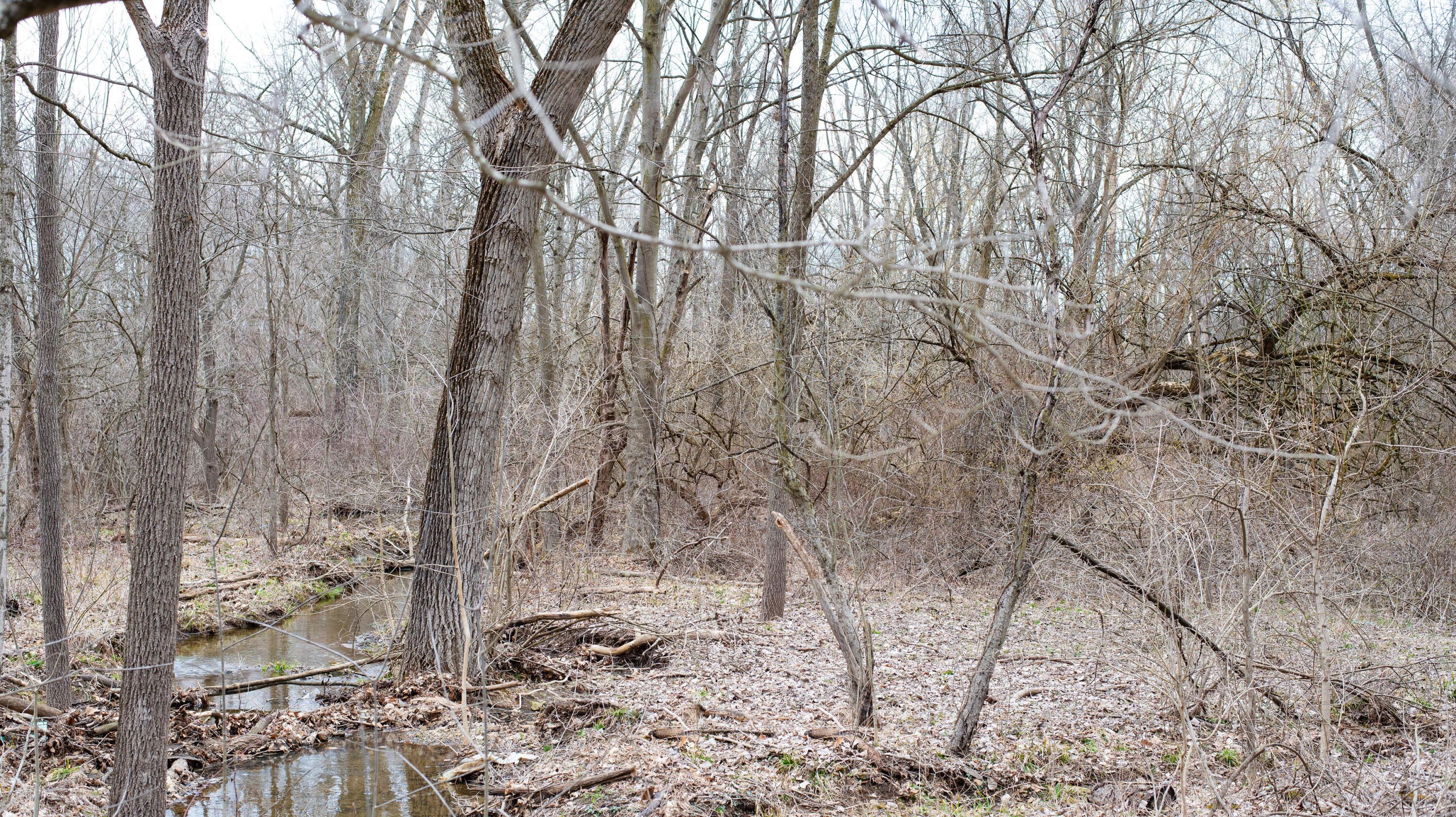 County Rd 183 (tract D), Fredericktown, Ohio image 13