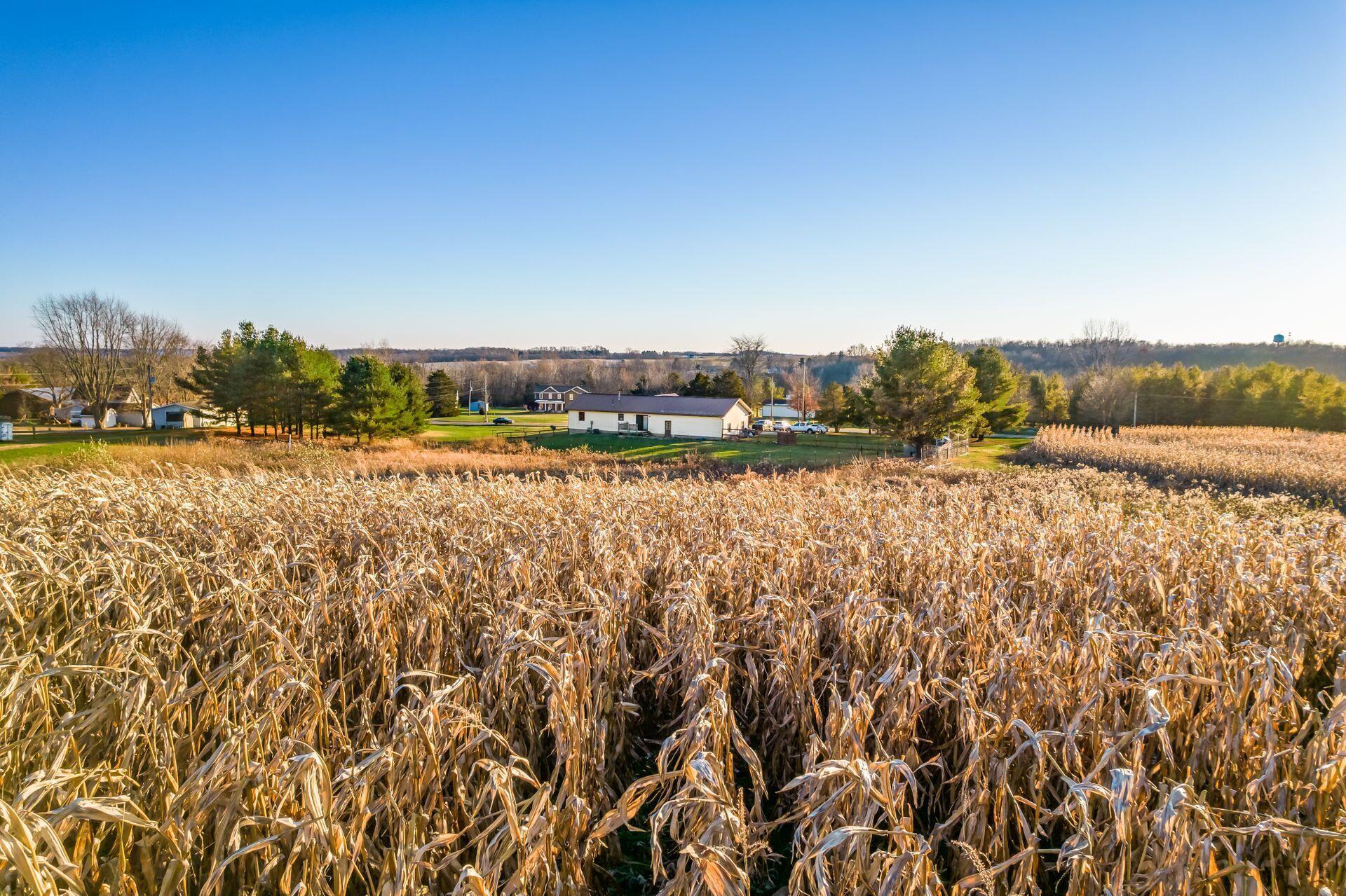 9010 Tarlton Road, Stoutsville, Ohio image 26