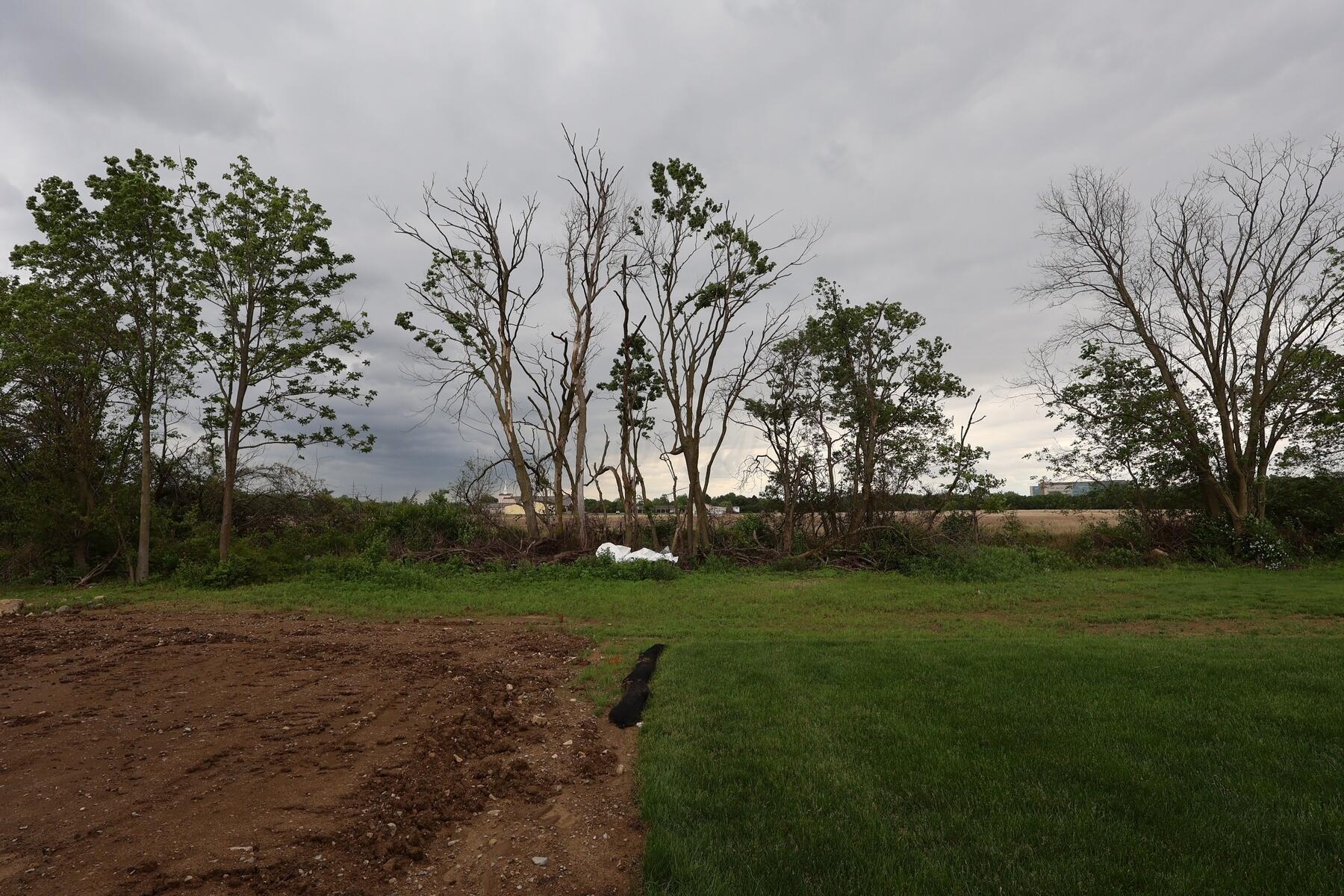 2989 Darby Downs Road, Grove City, Ohio image 12