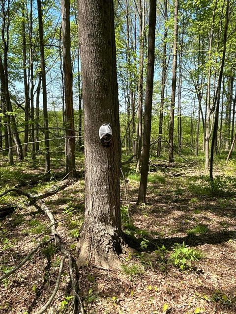 Tiny photo for 9407 Bever Ridge Road, Peebles, OH 45660 (MLS # 226014520)