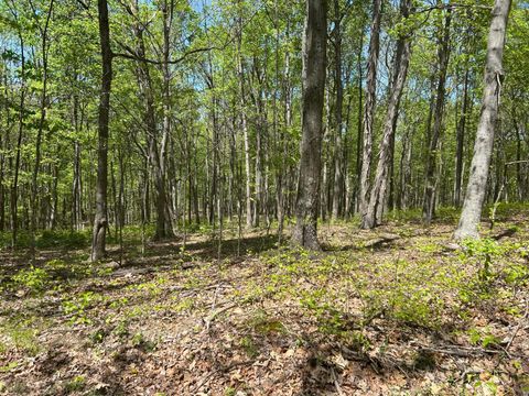 Tiny photo for 9407 Bever Ridge Road, Peebles, OH 45660 (MLS # 226014520)