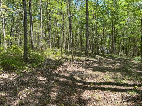 Tiny photo for 9407 Bever Ridge Road, Peebles, OH 45660 (MLS # 226014520)