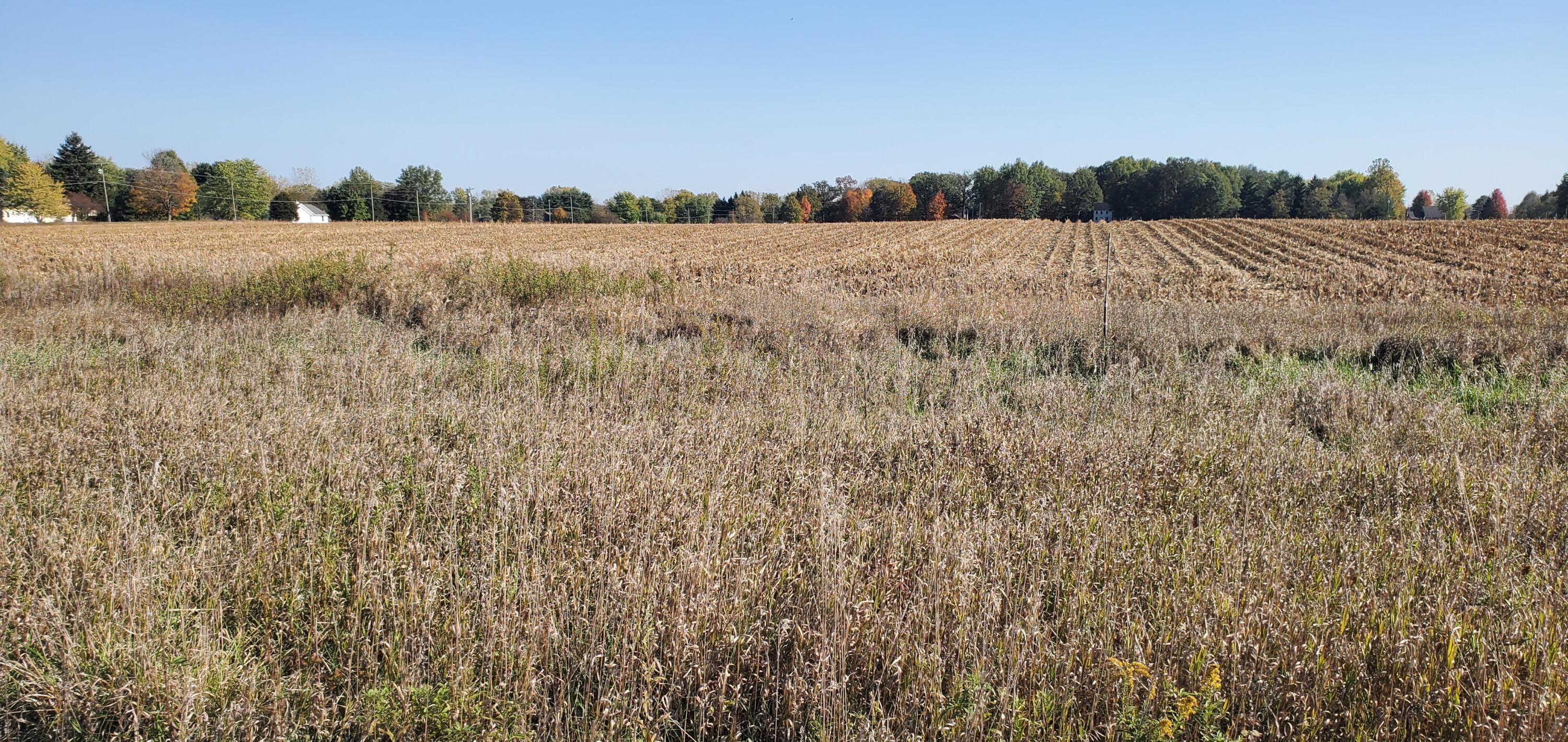 9513 State Route 736, Plain City, Ohio image 4