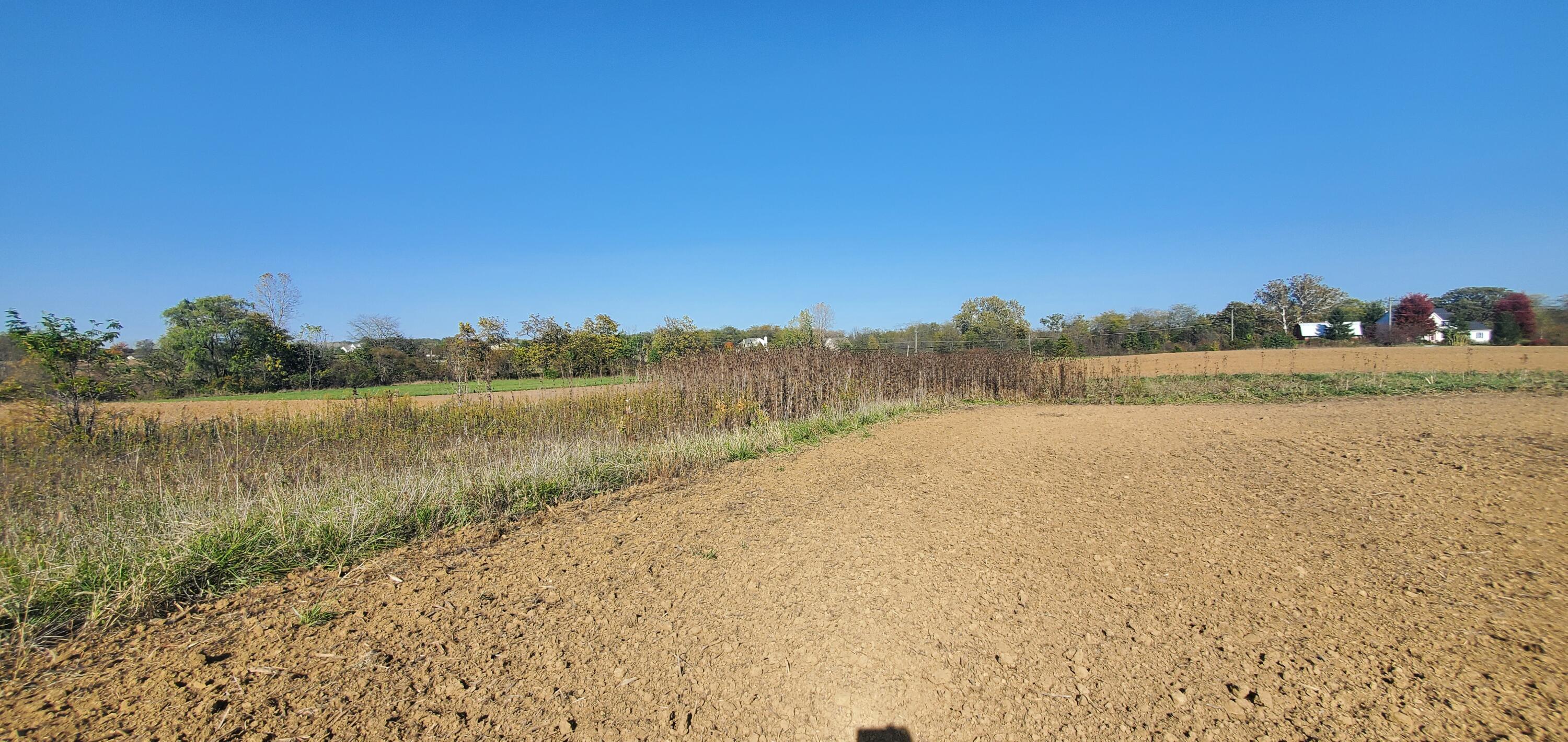 9513 State Route 736, Plain City, Ohio image 3