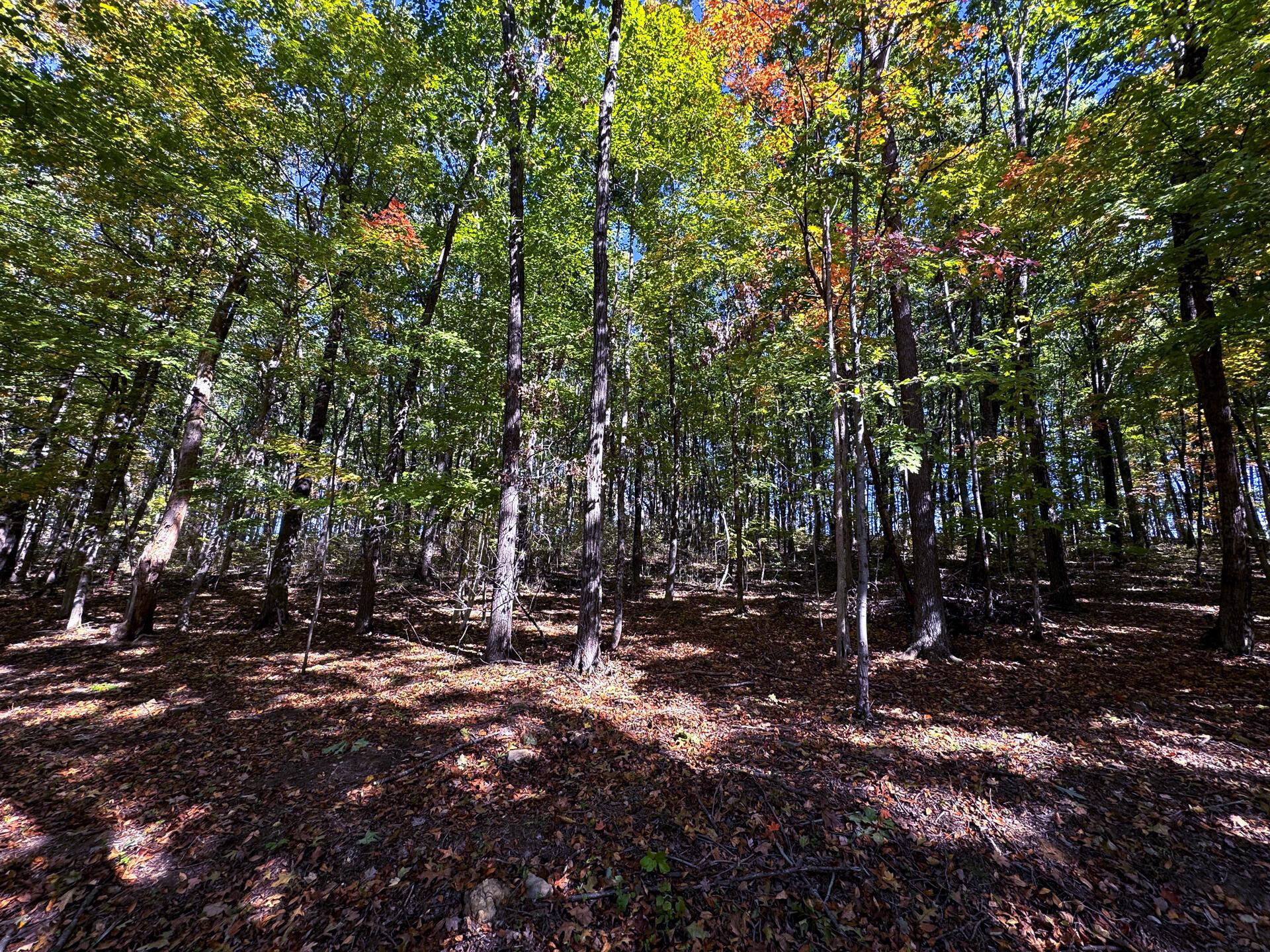 Easterday Road #TRACT 7 AT EASTERDAY WOO, Chillicothe, Ohio image 16