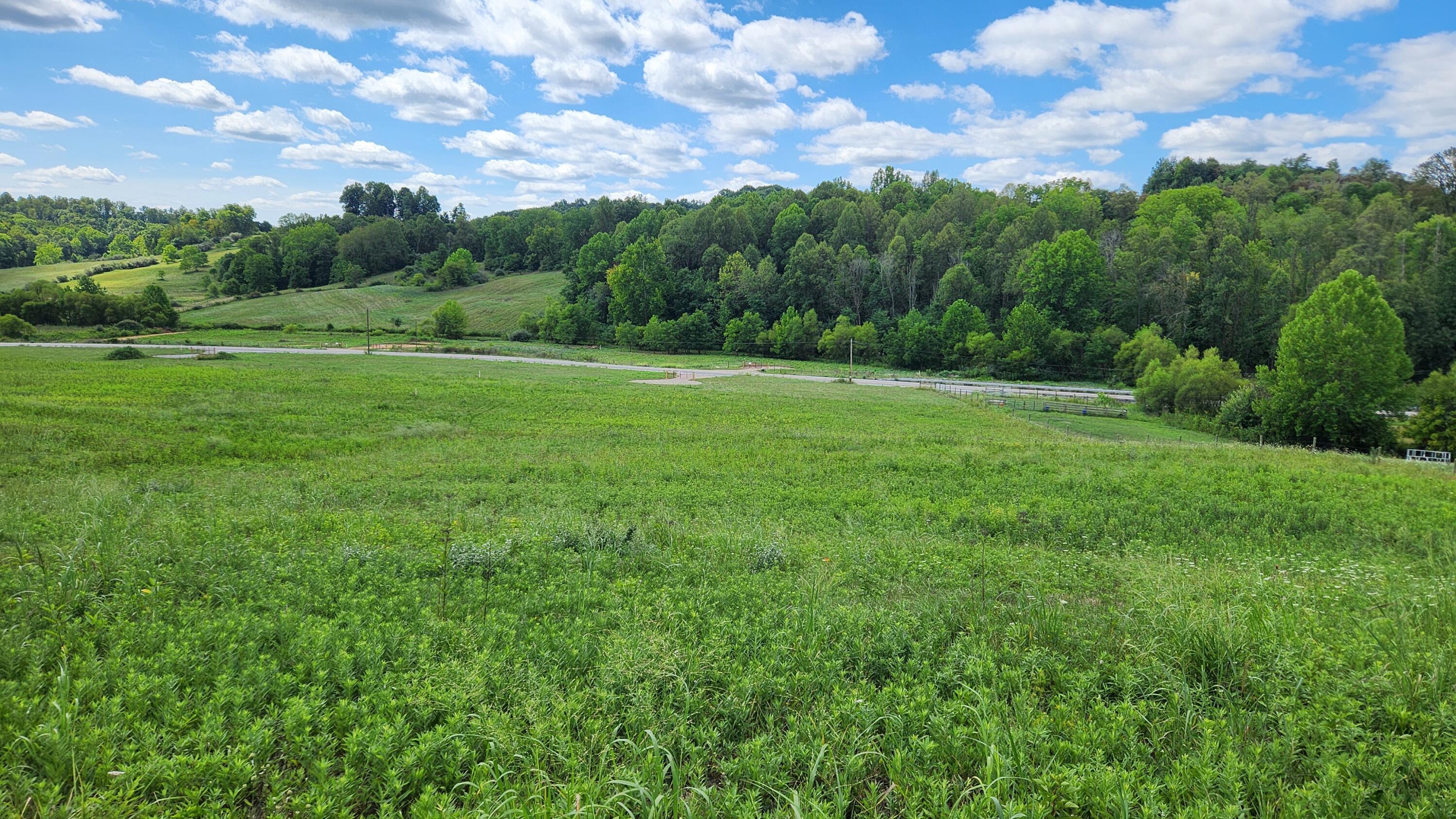 34872 Sr 681 #TRACT 14 ALBANY WOODS, Albany, Ohio image 8