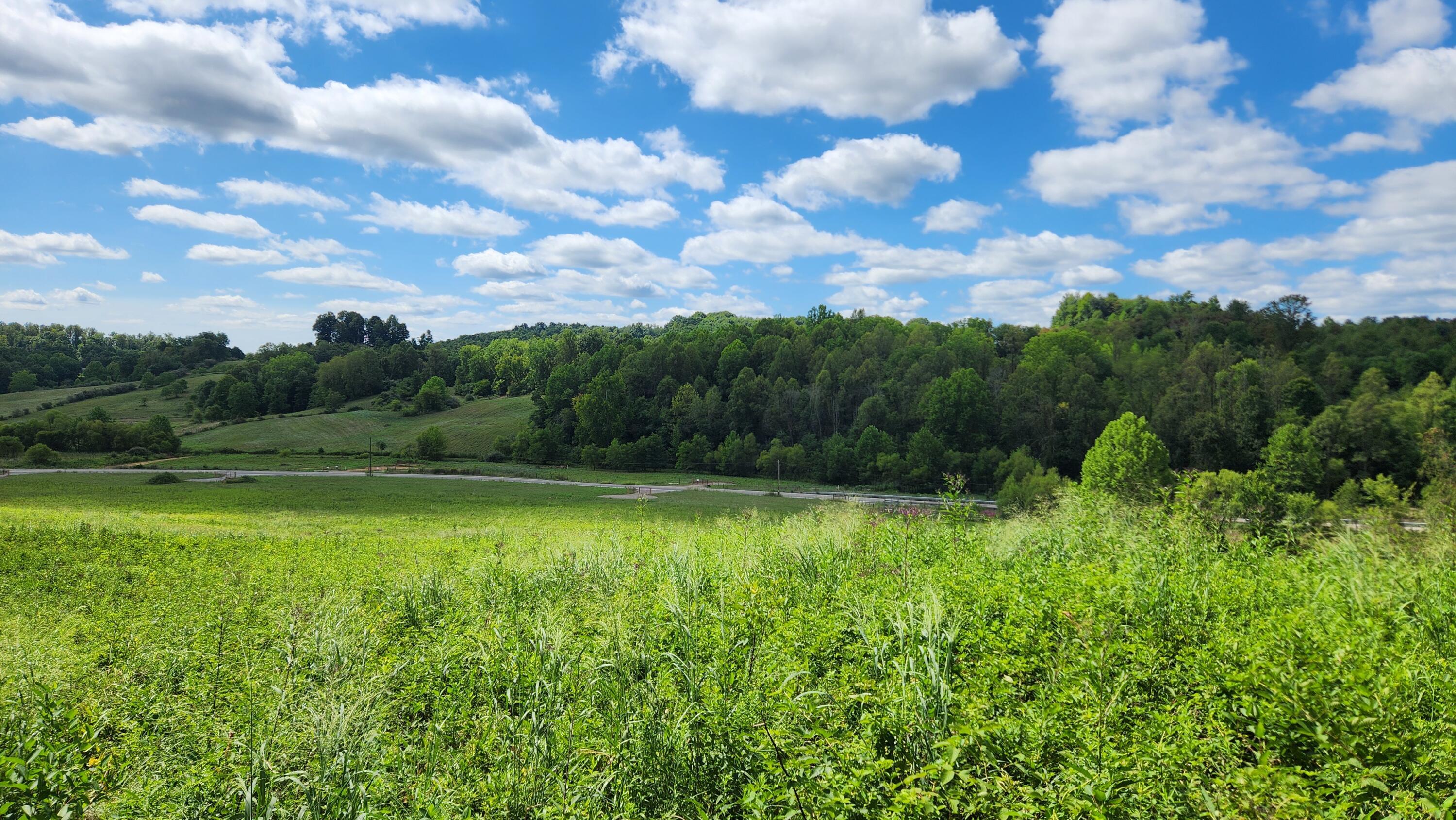 34872 Sr 681 #TRACT 14 ALBANY WOODS, Albany, Ohio image 10