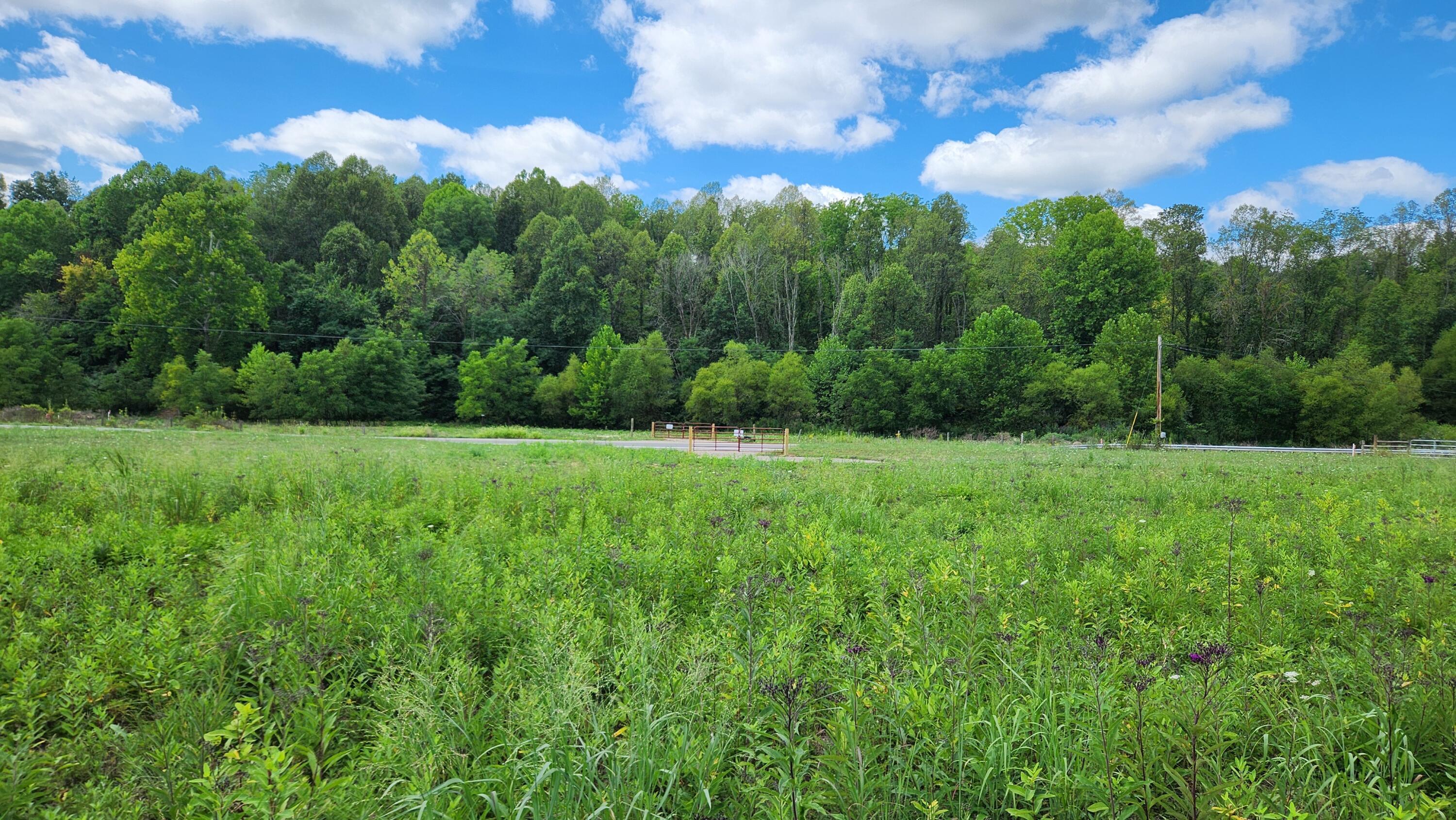 34872 Sr 681 #TRACT 14 ALBANY WOODS, Albany, Ohio image 6